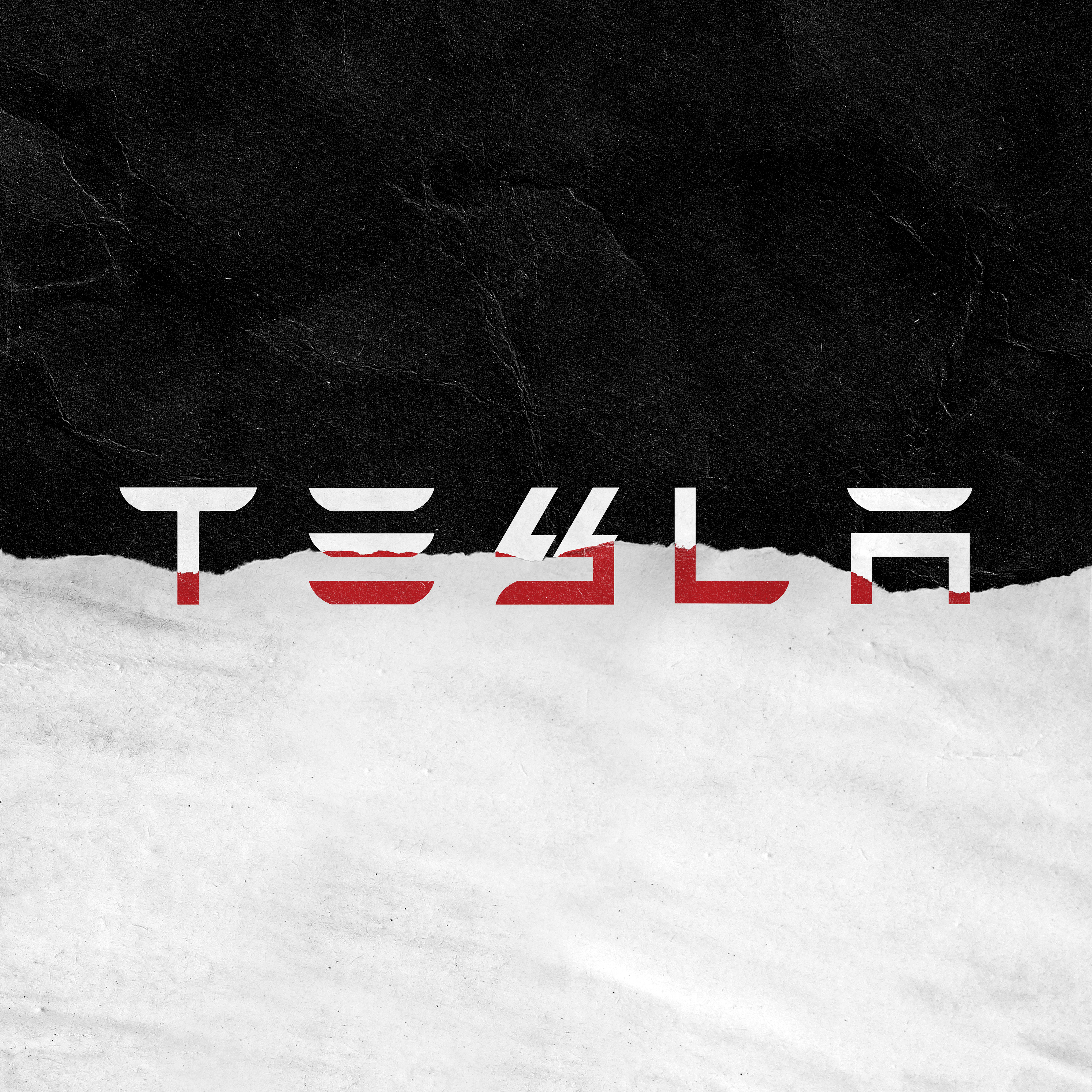 Unapproved 2025 Re-Brandings: Tesla