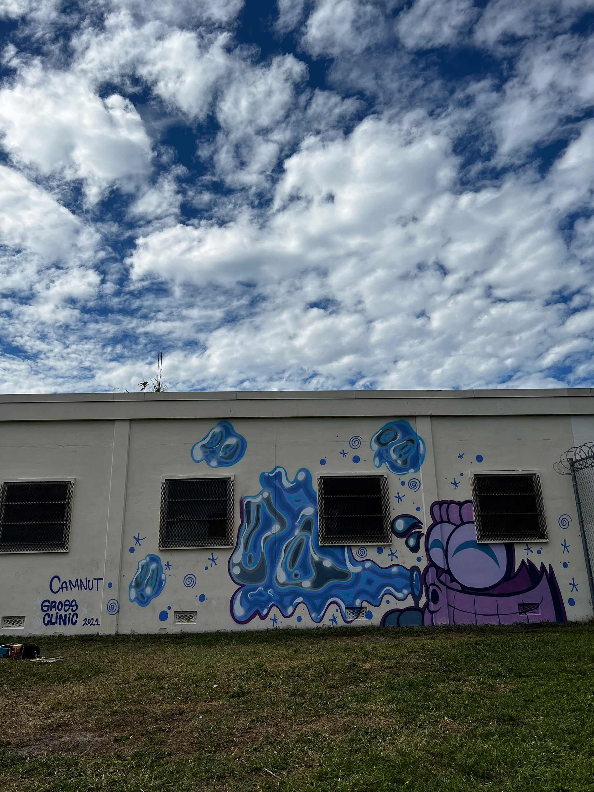 Collaboration with Gross Clinic @ Broward Youth Treatment Center