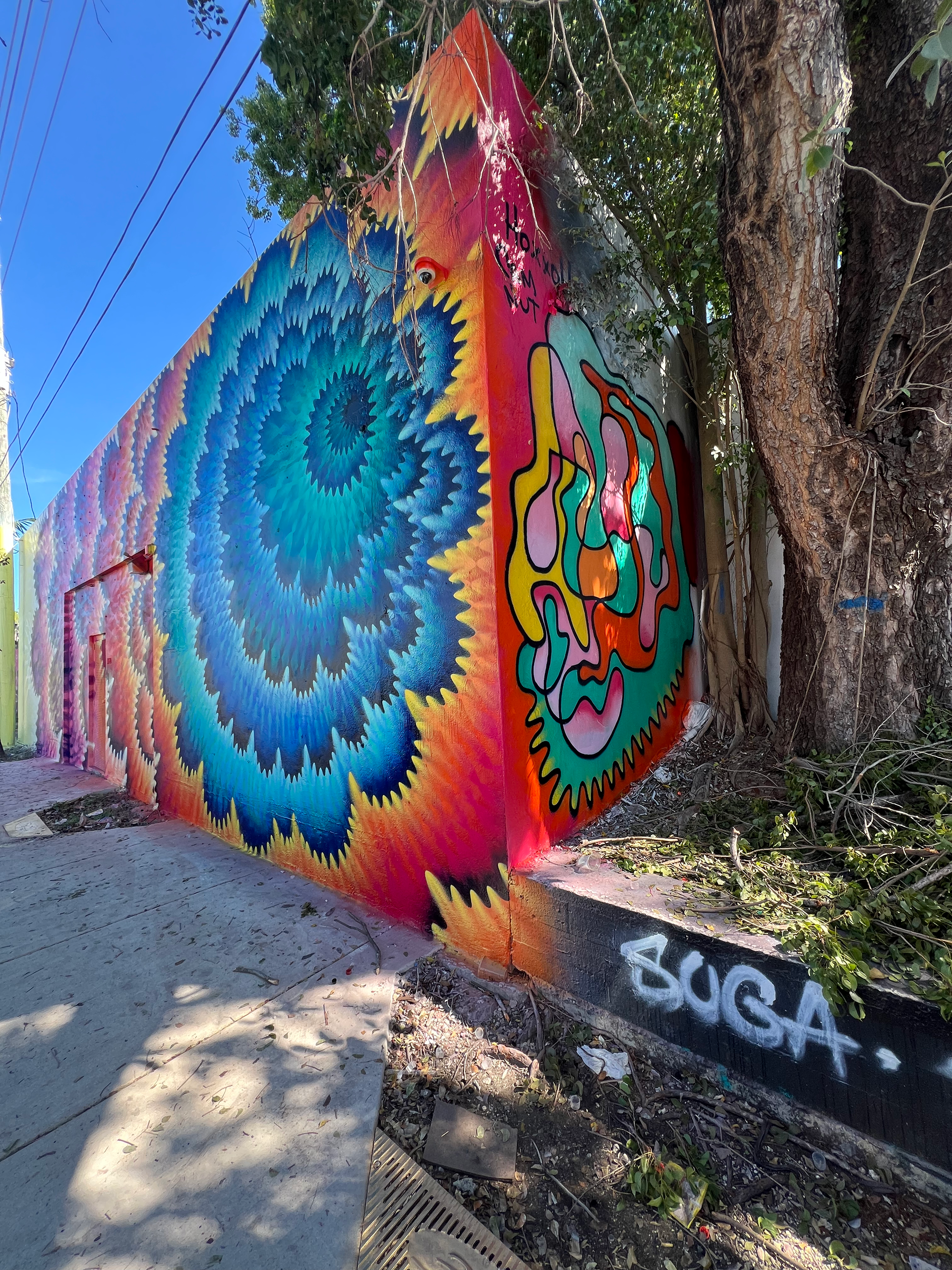 In Collaboration with HOXXOH