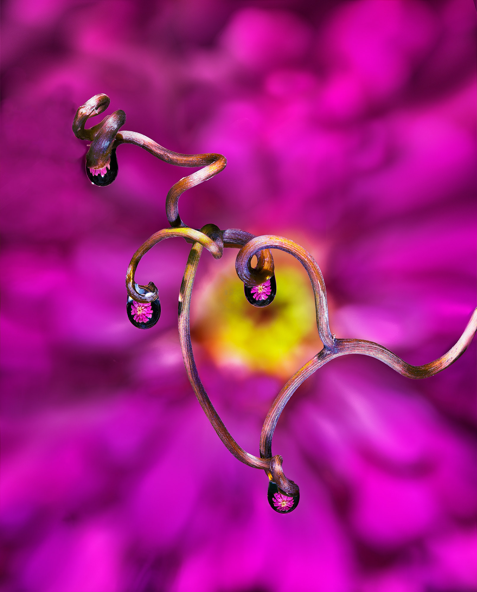 Tendril