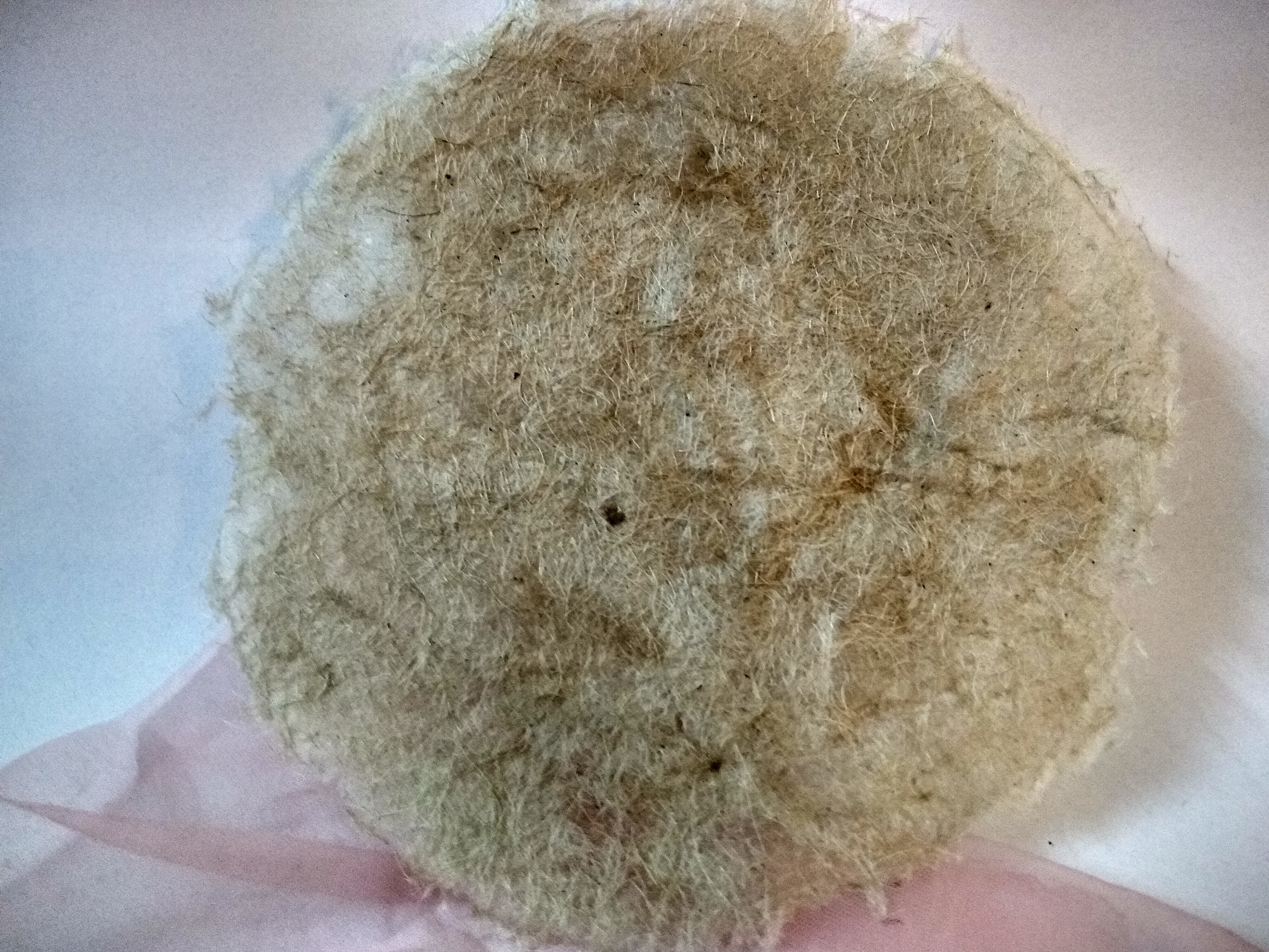 material sample