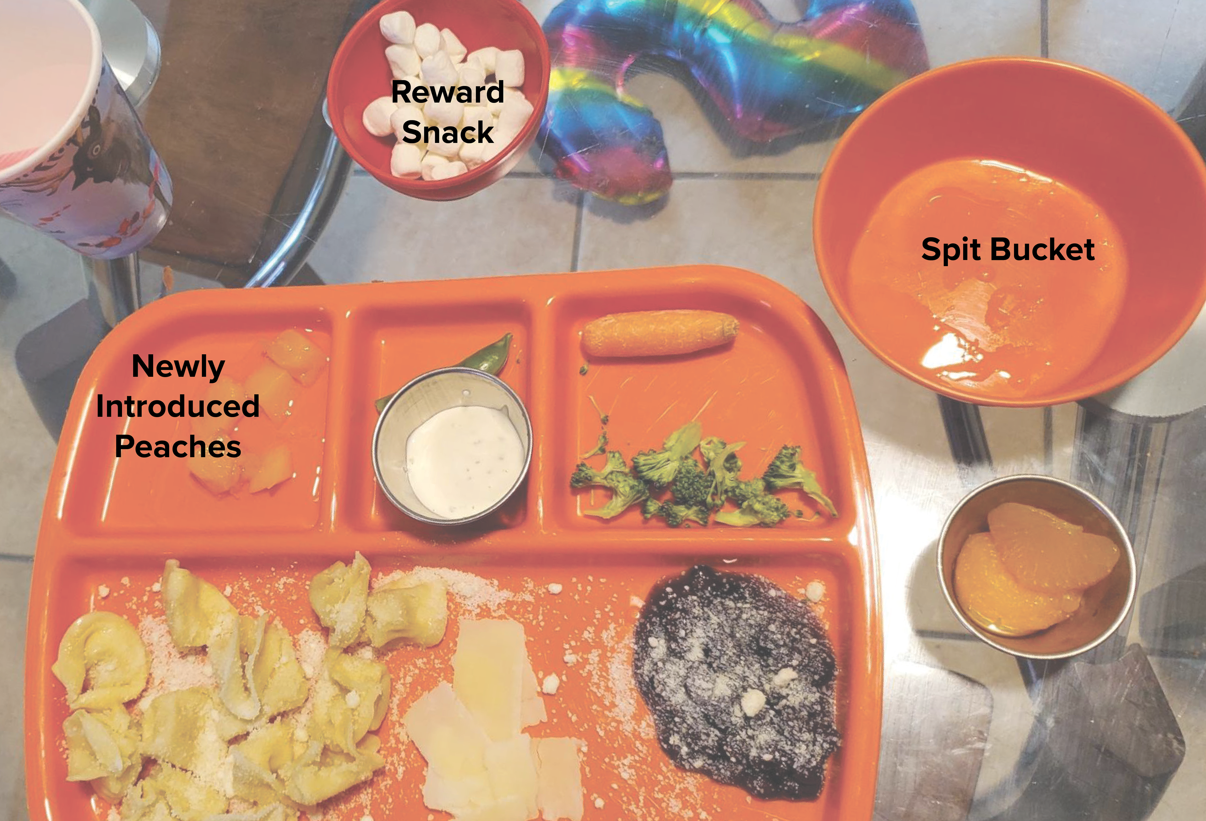 Figure 8: Food Tolerance Training Set-Up
