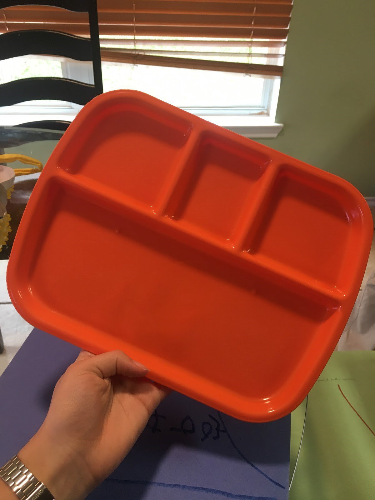 Figure 15: Toddler Plate