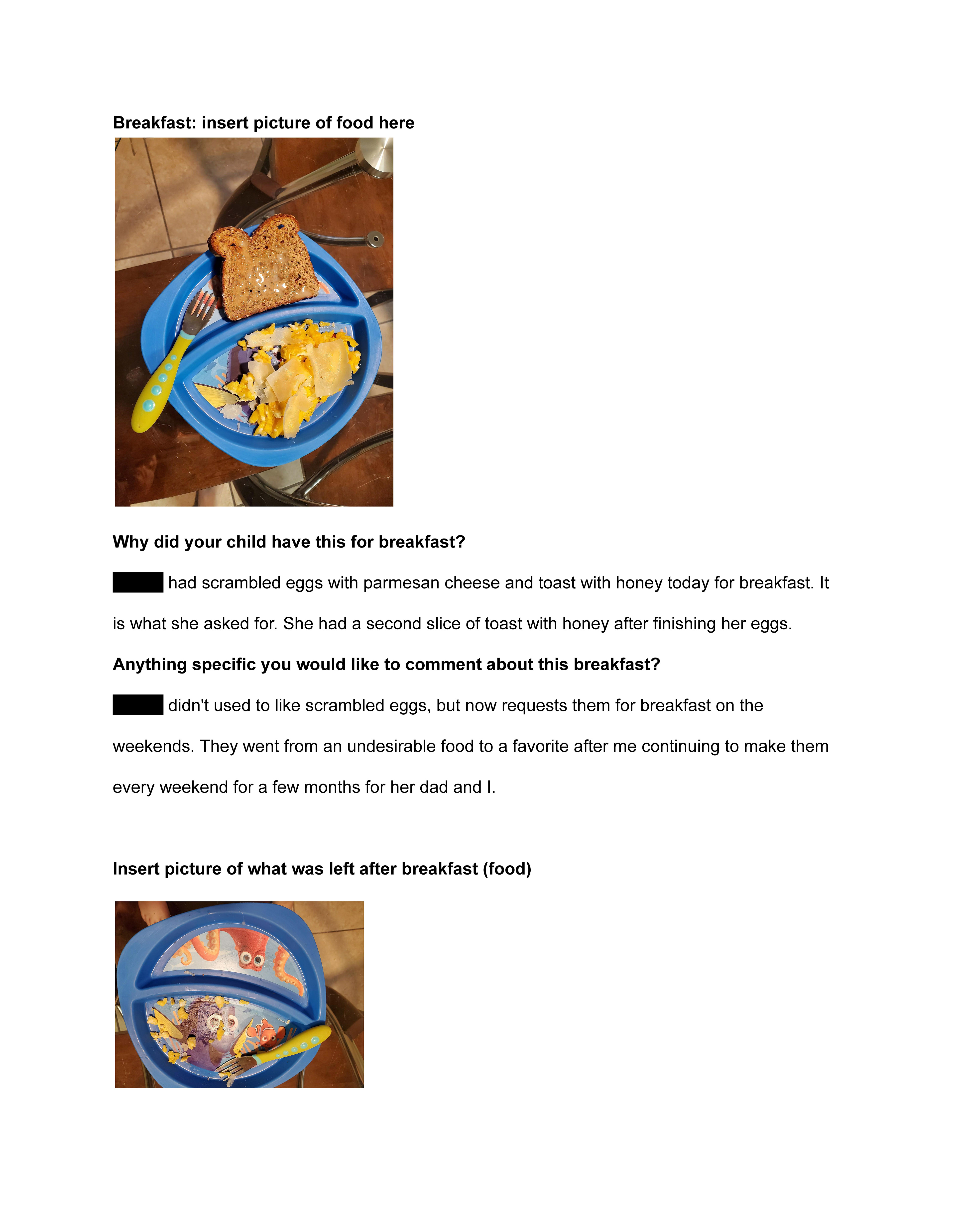 Figure 6: Food Diary Log