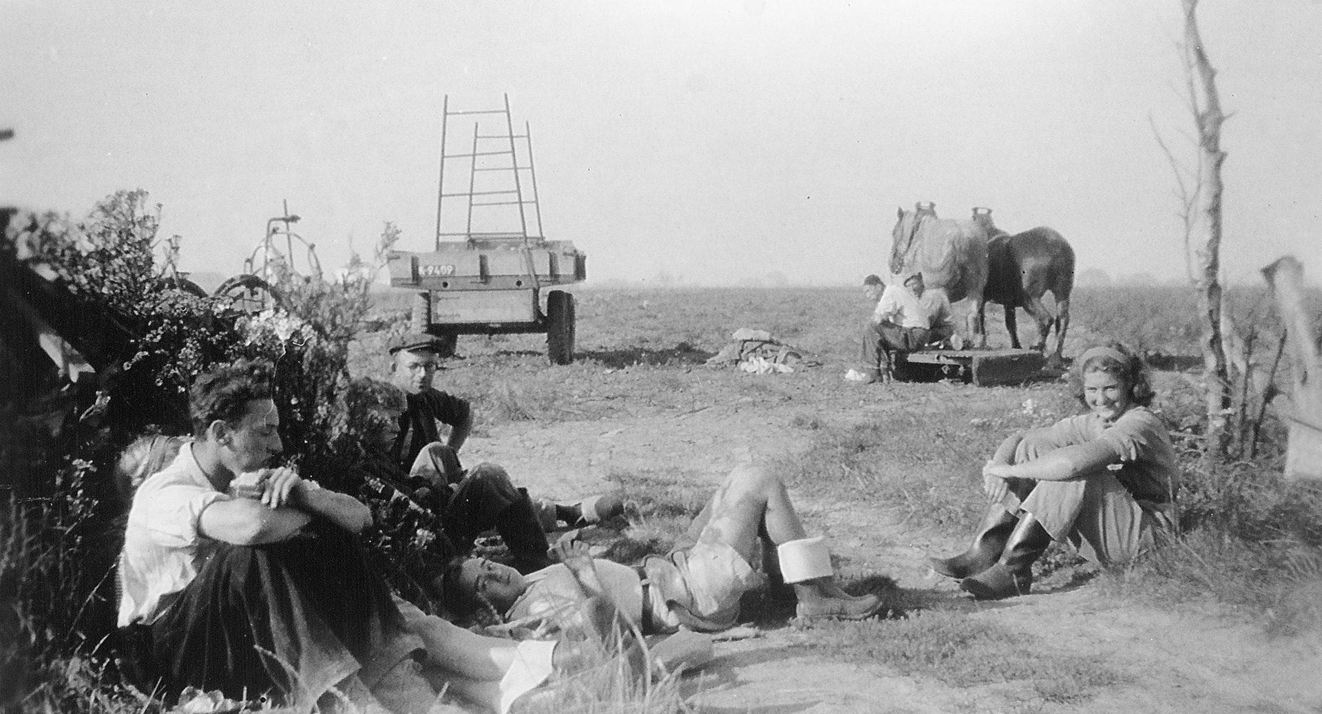 studenten Warmonderhof rooien aardappels in 1948