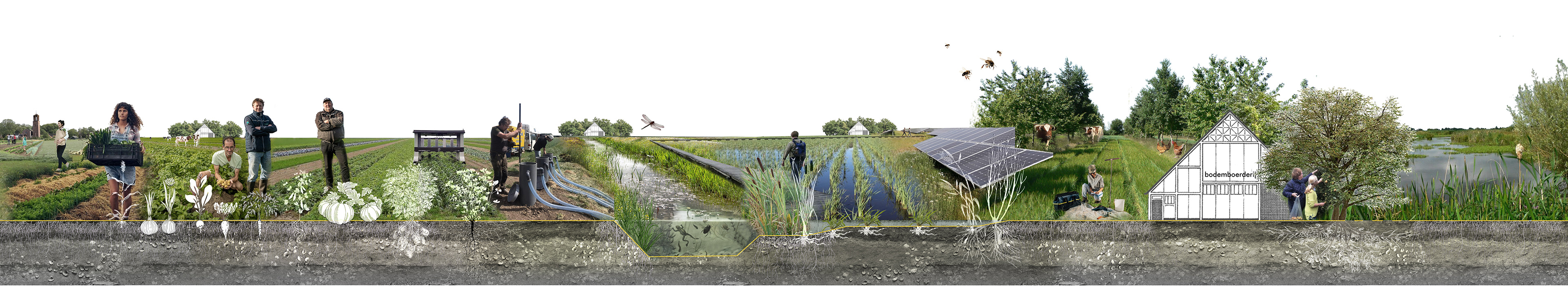 mogelijke toekomstbeelden voor de Noordoostpolder vanuit het perspectief van de boerderijen