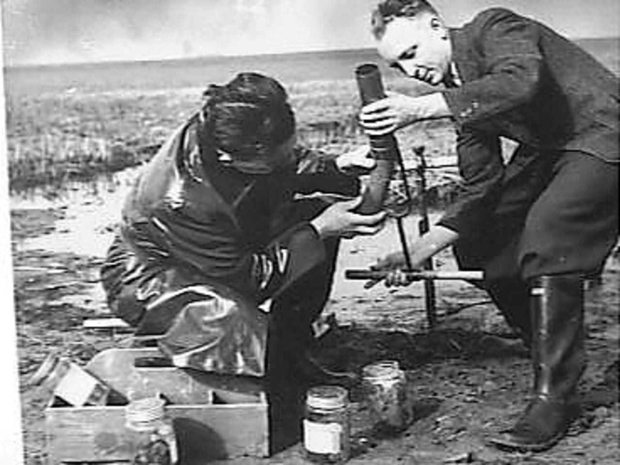 bodemmonsters afnemen in 1943