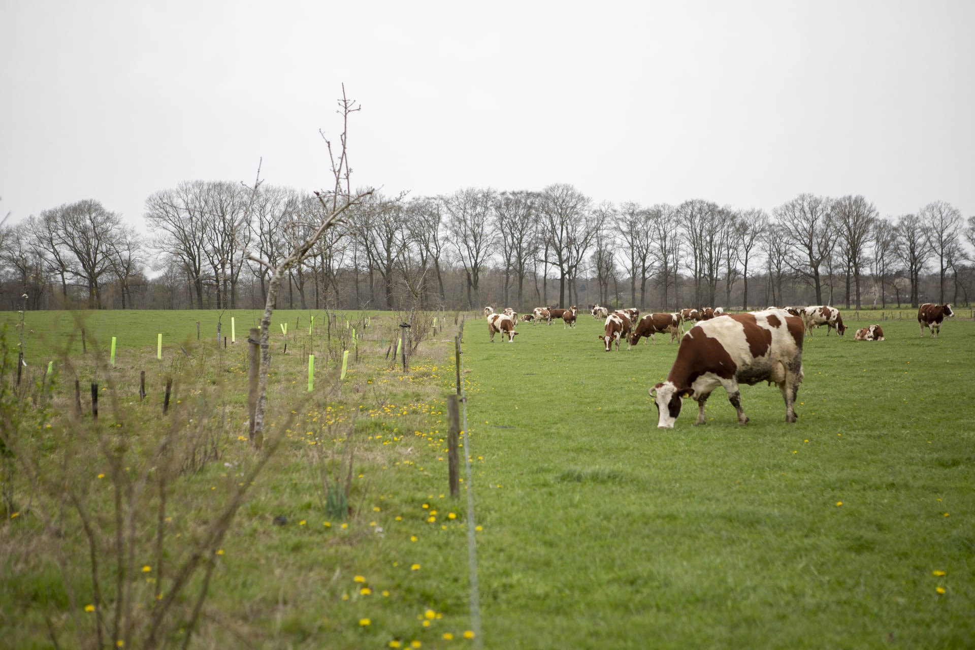 Foto door Sabine Grootendorst in opdracht van De Correspondent