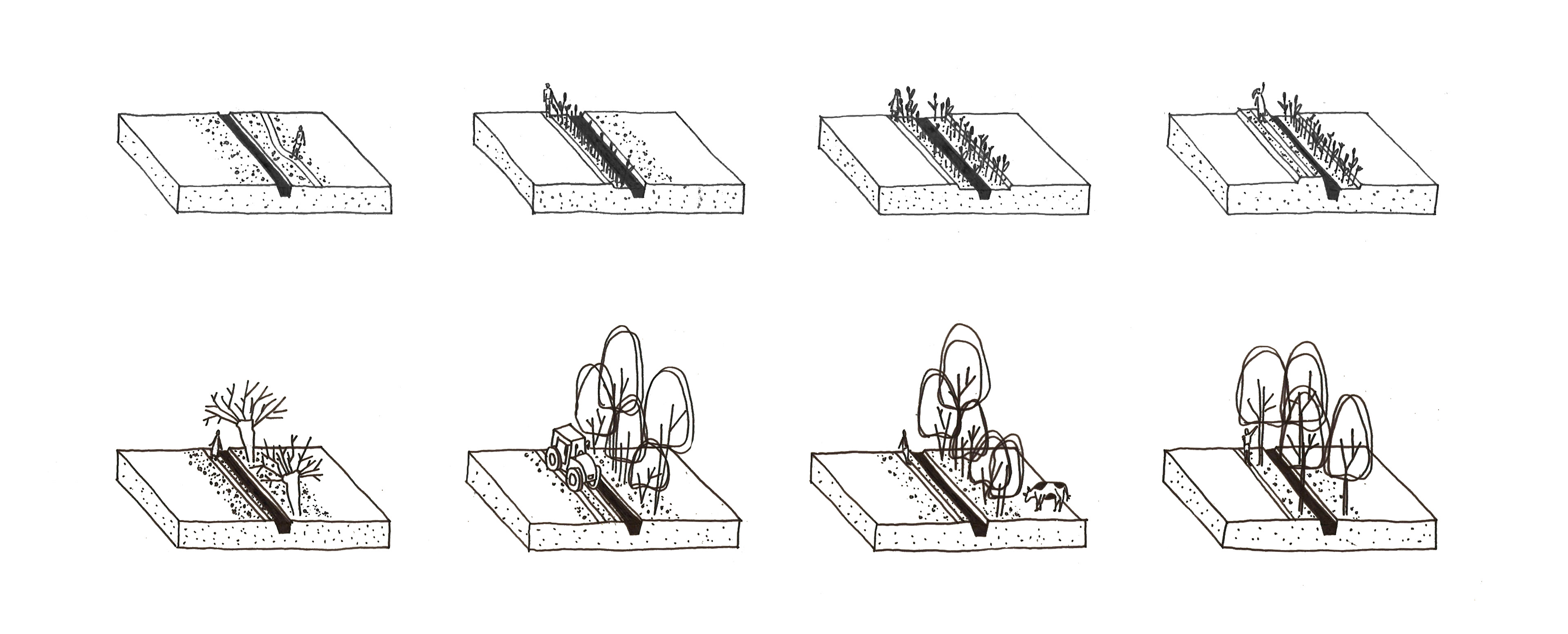 variantenstudie bufferstroken van 3 meter breed