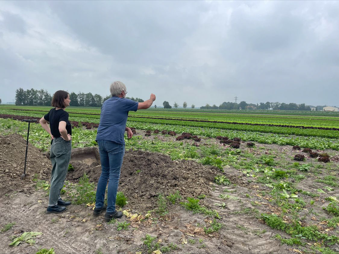graven naar Blokzijlerzand op boerderij Eko de Eerste, foto door Barbara Vos