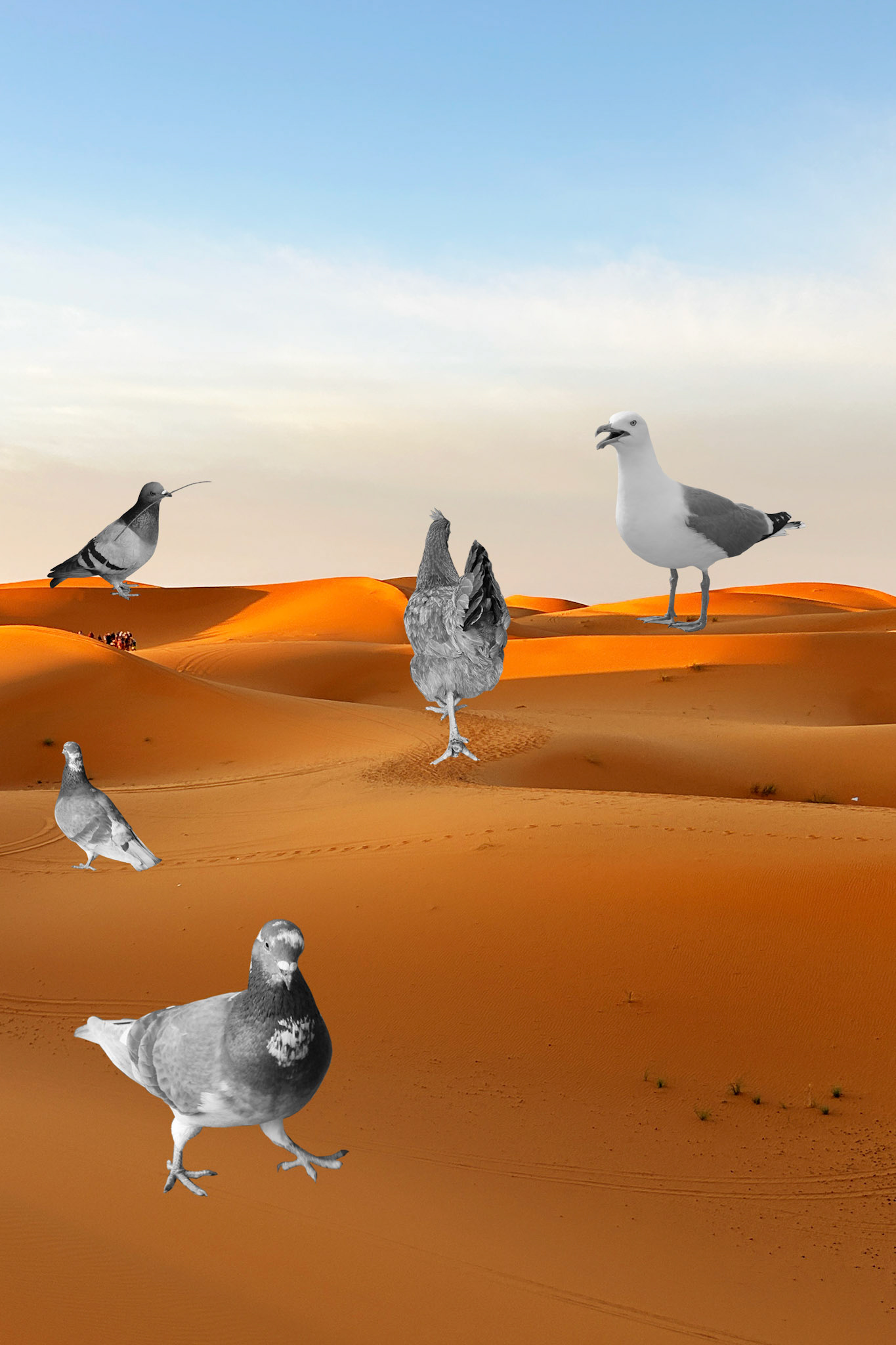 A Field Guide to Getting Lost: Rebecca Solnit (Exploration)