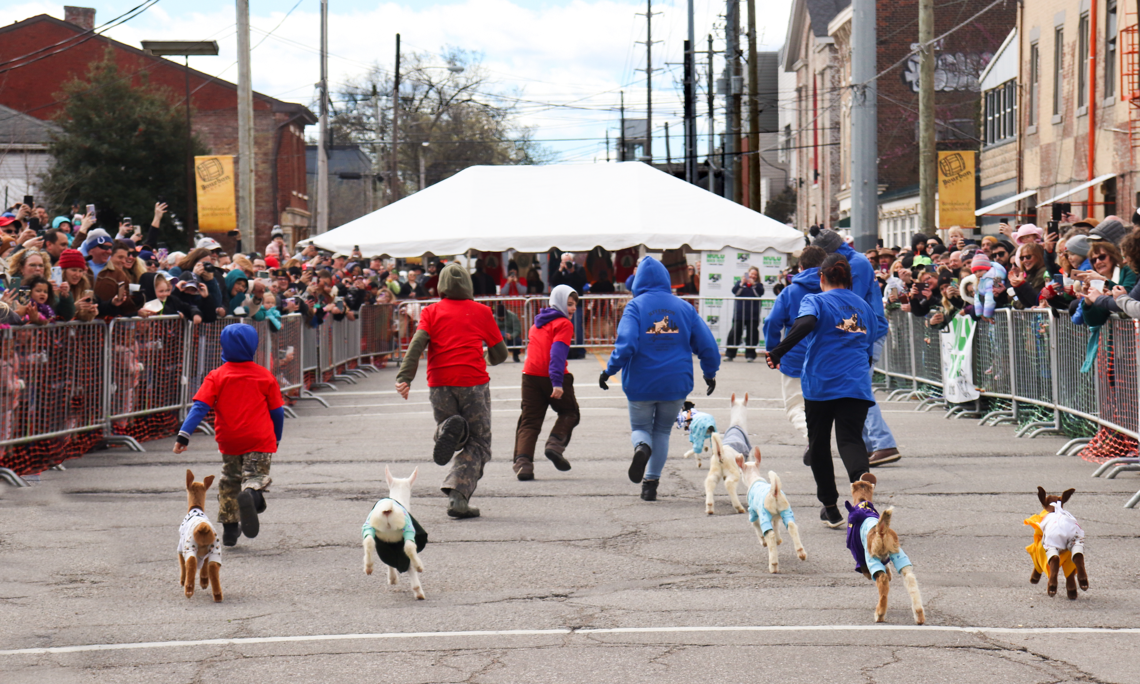 Goat Race from Behind