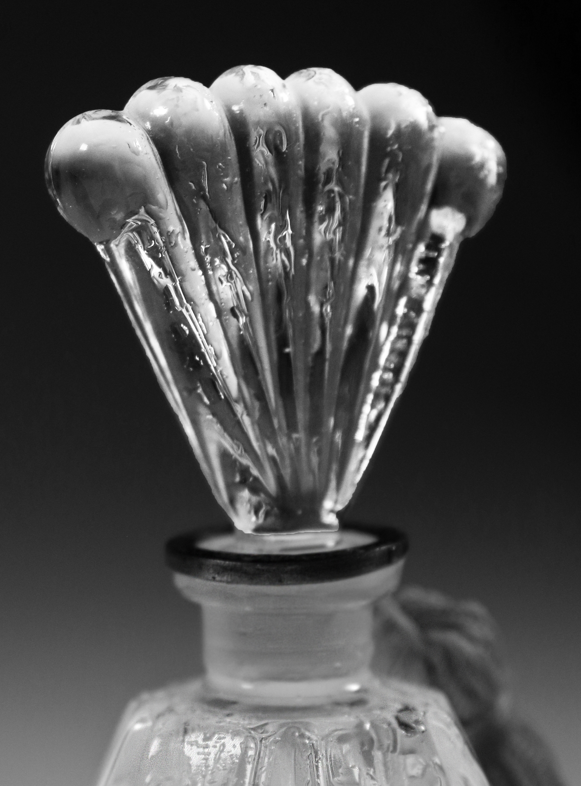 Perfume Close Up