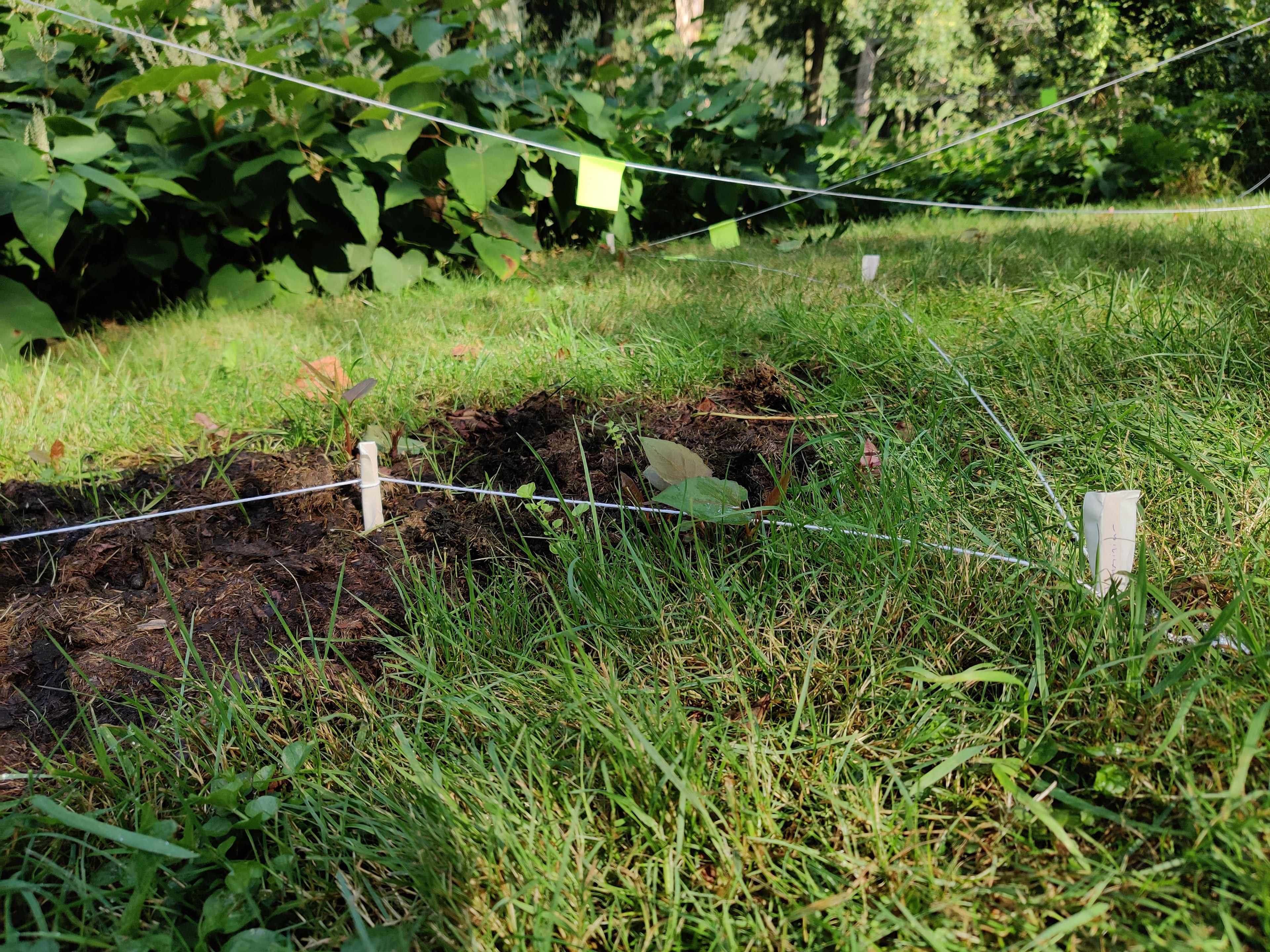 Entanglements workshop