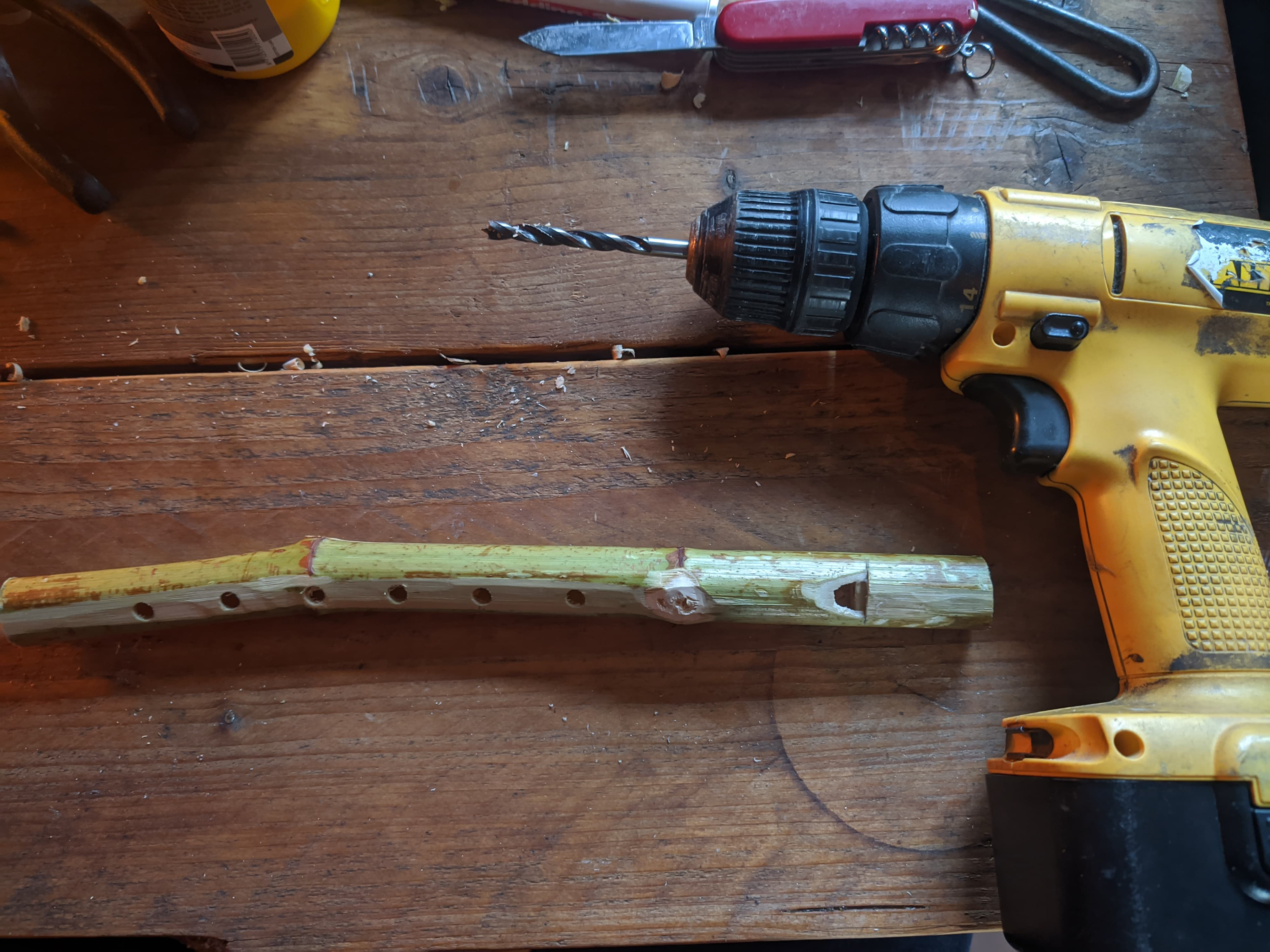 Documentation of creation process japanes knotweed flute.