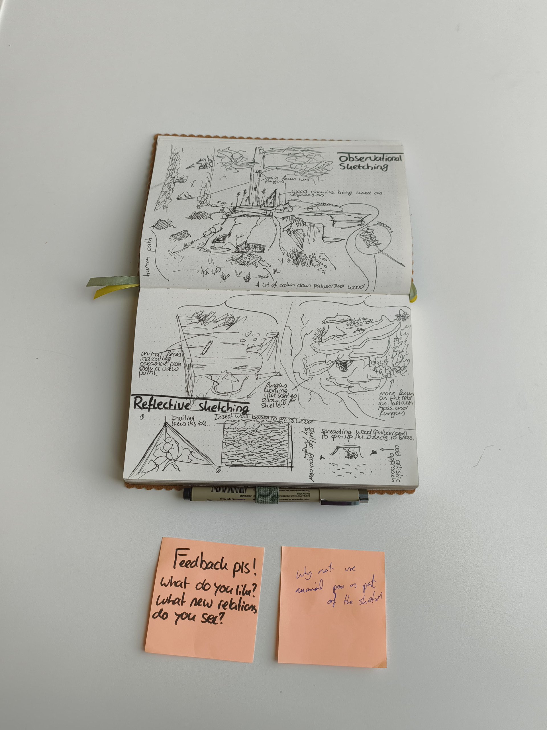 First-Person sketching, Understanding ecosystems.