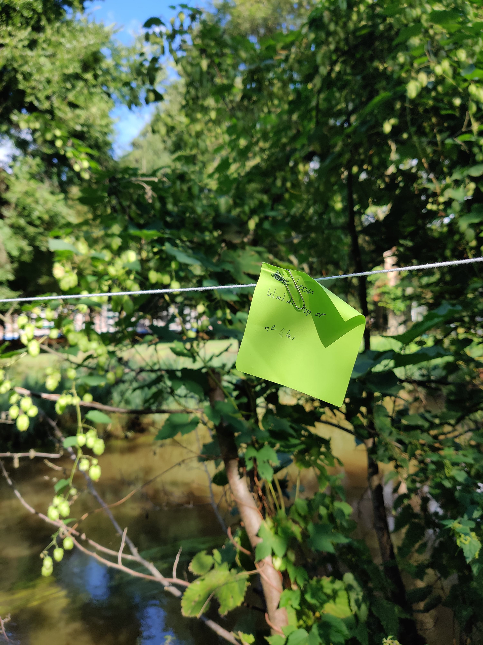 Entanglements workshop