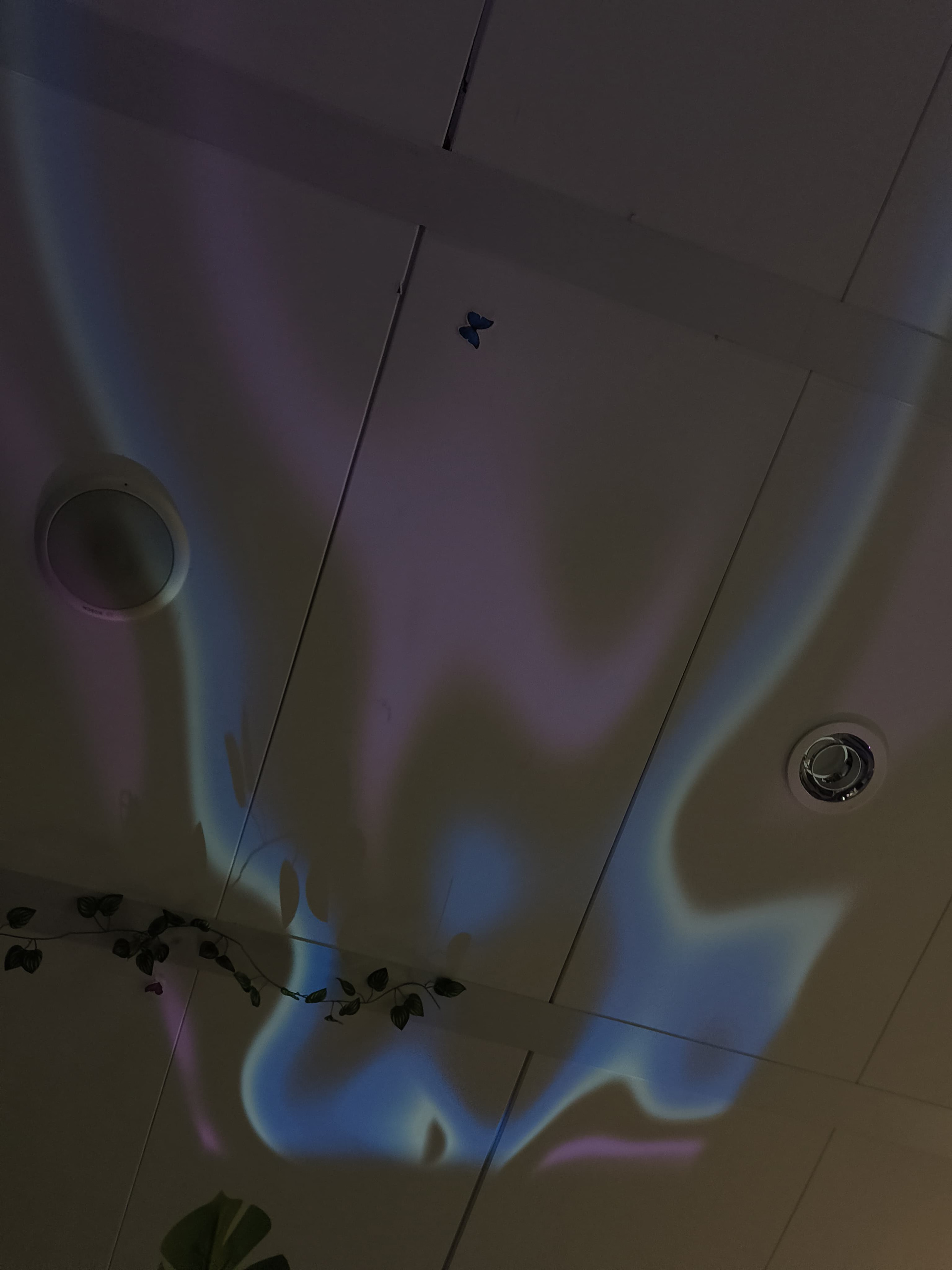Application of visuals created with TouchDesigner and projected on the ceiling