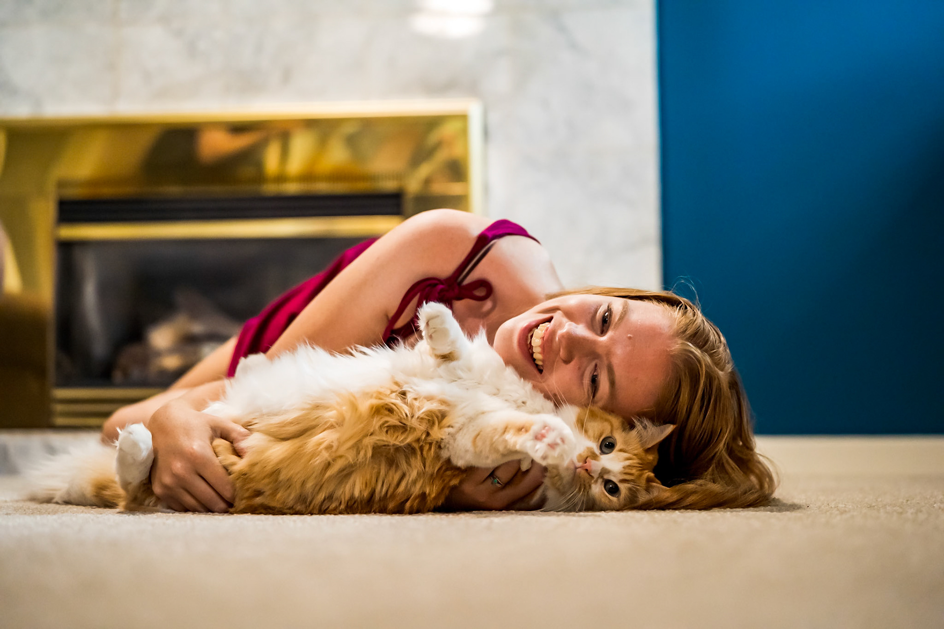 Fun cat portrait session in Denver Colorado