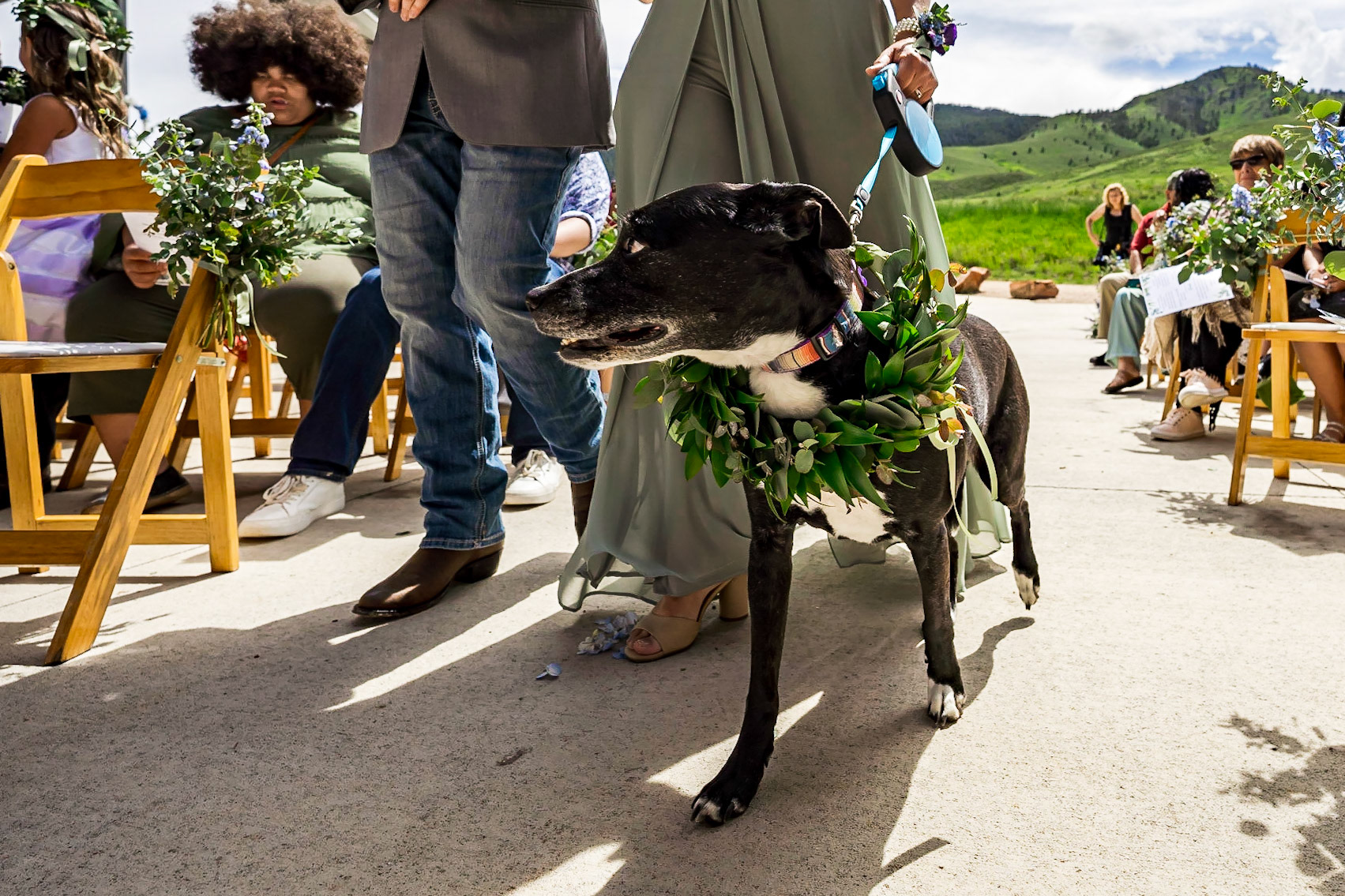 Wedding ceremony in Lory State Park and Recpetion in Fort Collins, Colorado