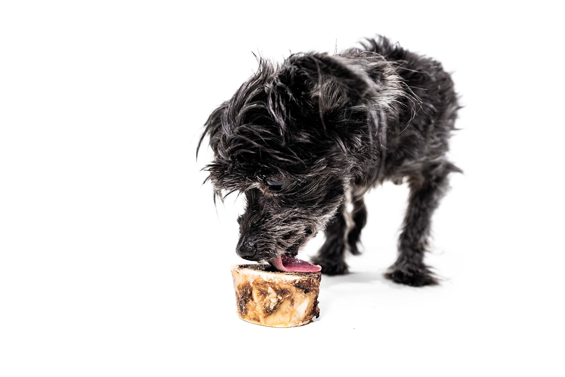 Product Photography for Winnie Lou by Bonnie Photo