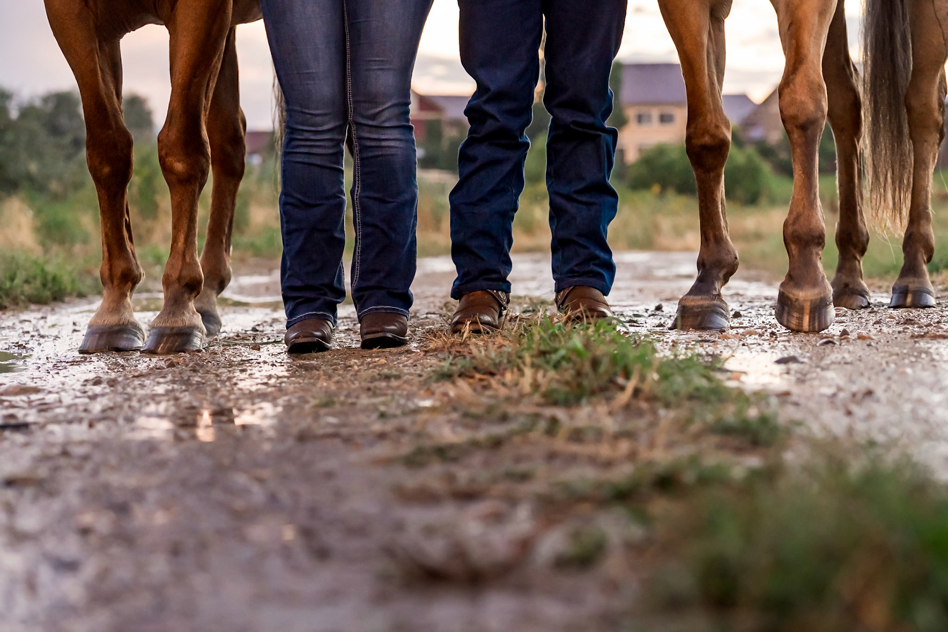 Engagement photo session with horses in Northern Colorado