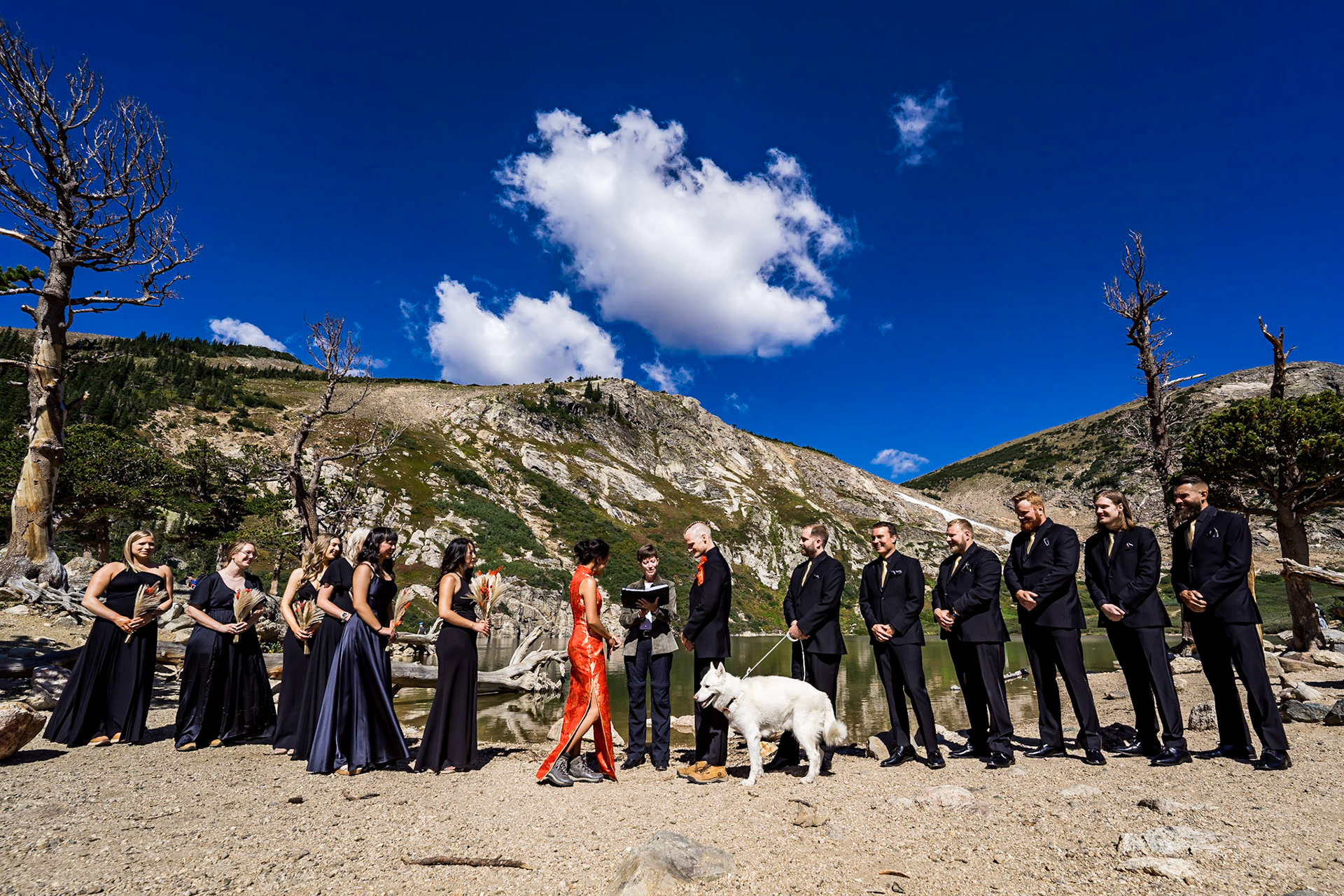 Bold, vibrant, and fun wedding at Sy Mary's Glacier and the Metlo Hotel in Denver, Colorado with a huskey ring bearer
