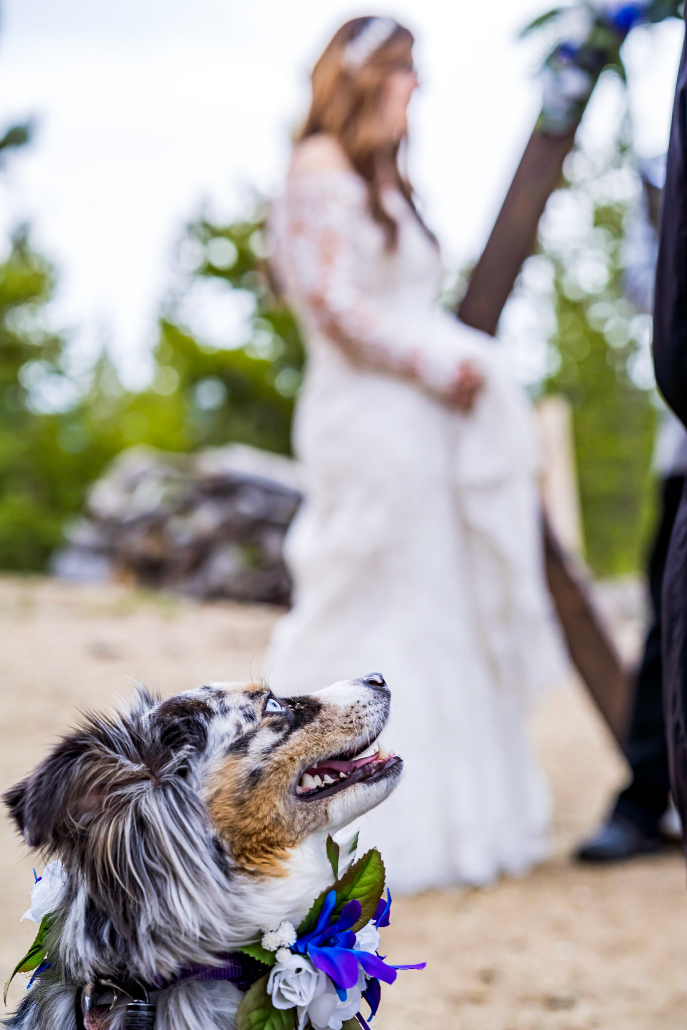 Elopement photography by Bonnie Photo in Colorado