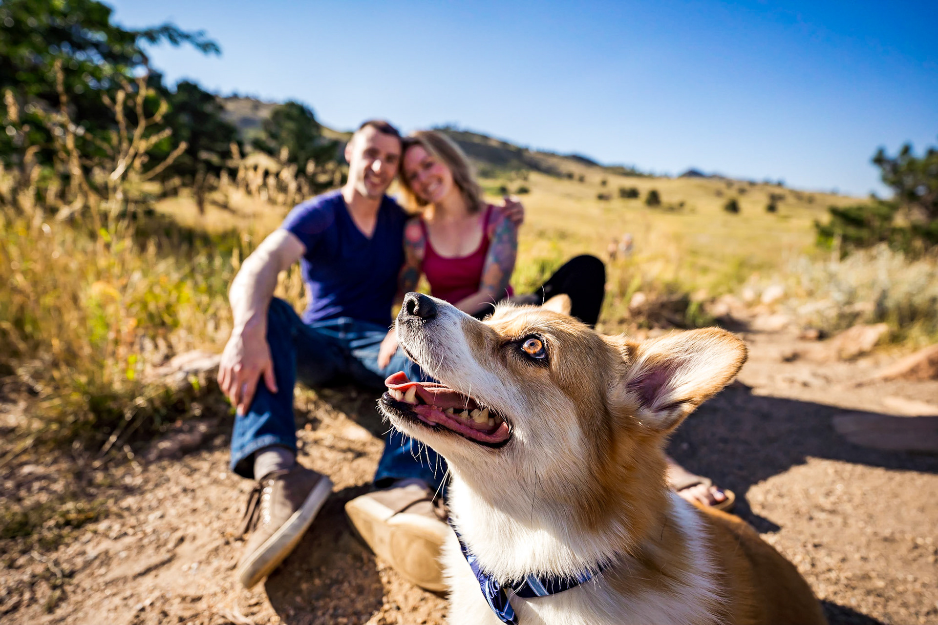 Fun, chill engagement session in Boulder Colorado with Corgi. Portraits and astrophotography portraits in Rocky Mountain National Park on Trail Ridge Road.