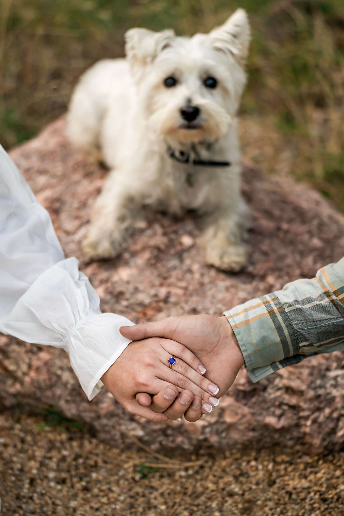 Cute engagement session with a dog at Sunrise Amphitheater in Boulder, CO