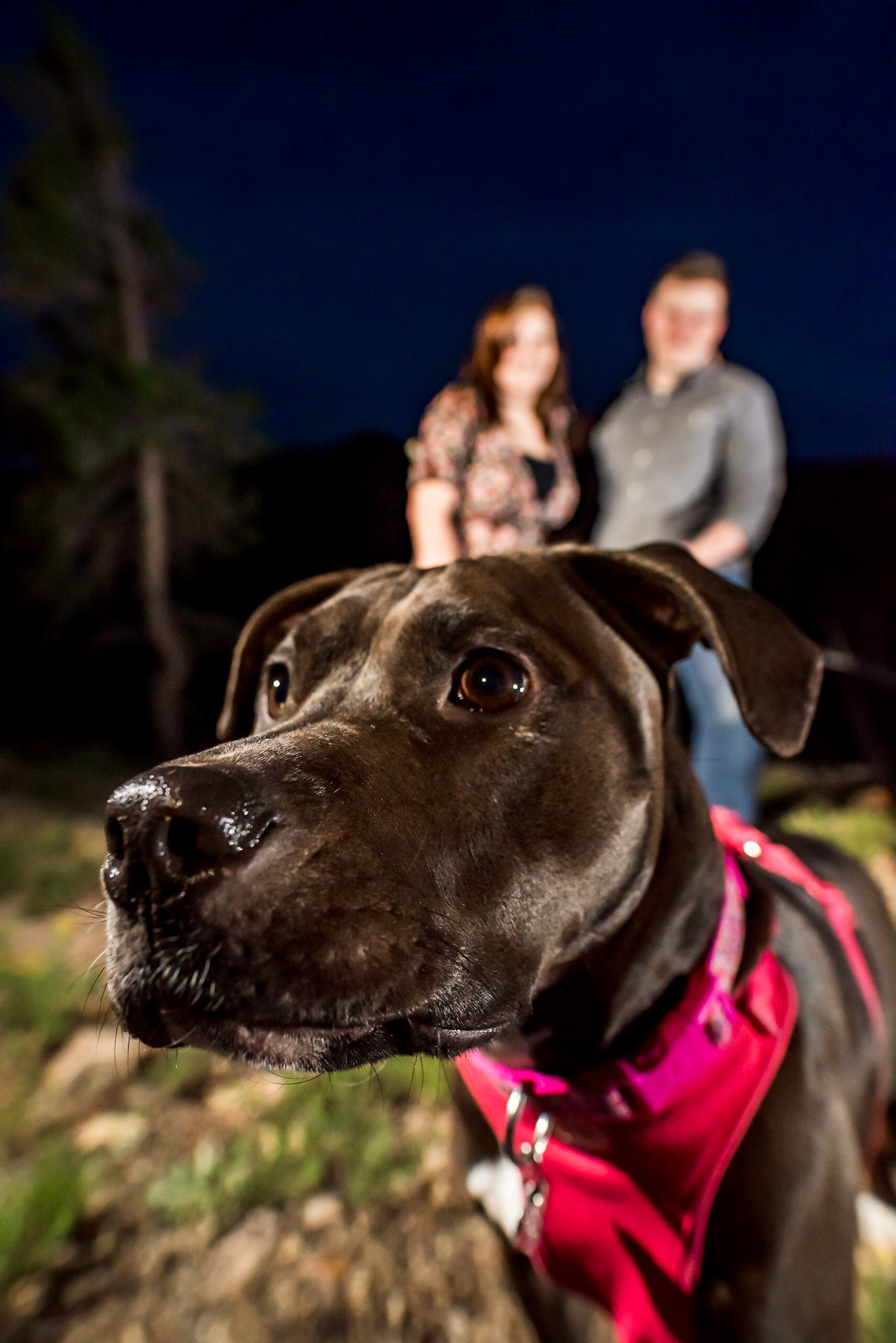 fun, chill engagement photography session in Boulder, CO