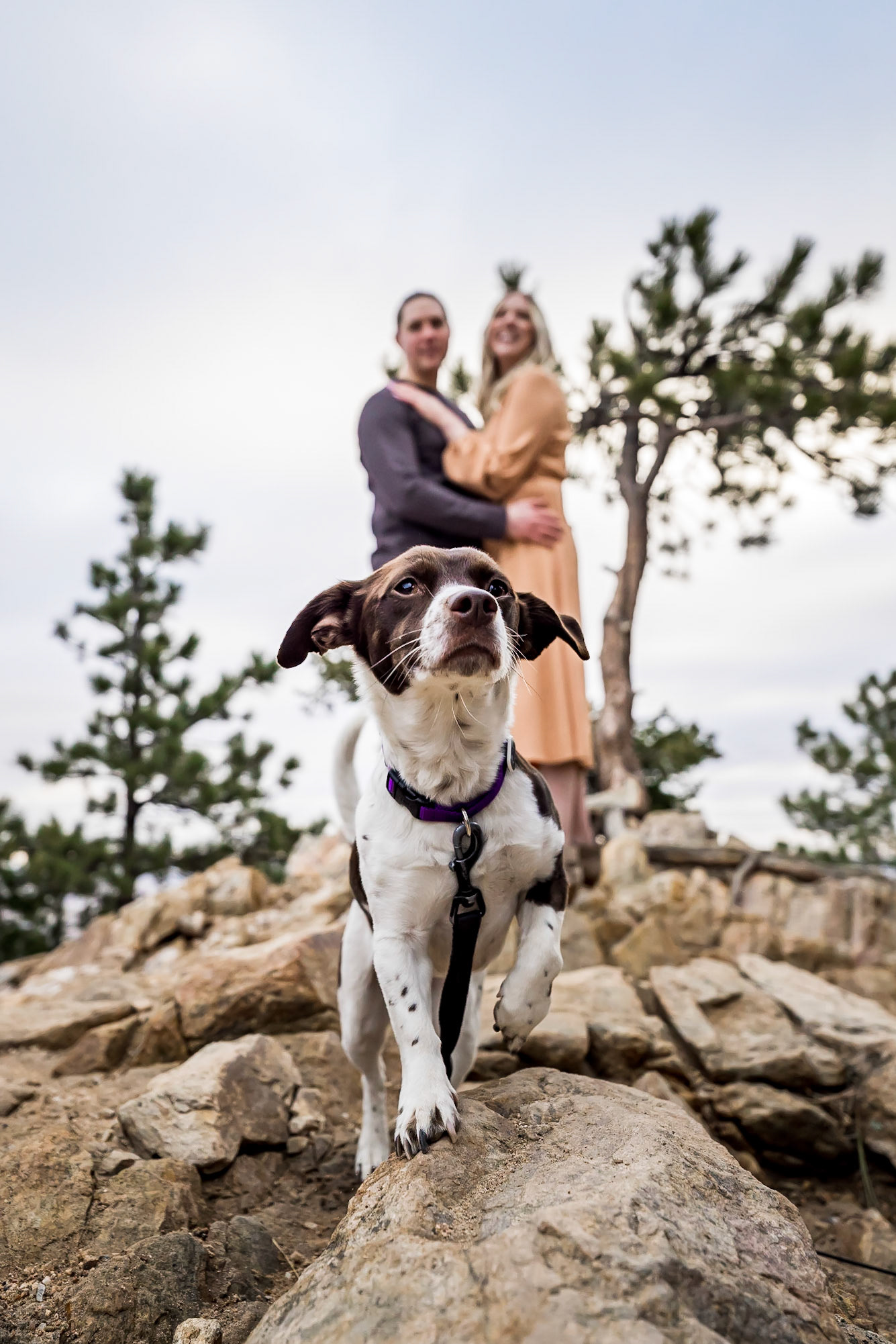 Bold, Vibrant, and fun sunrise engagement session at Lost Gulch Overlook in Boulder, Colorado