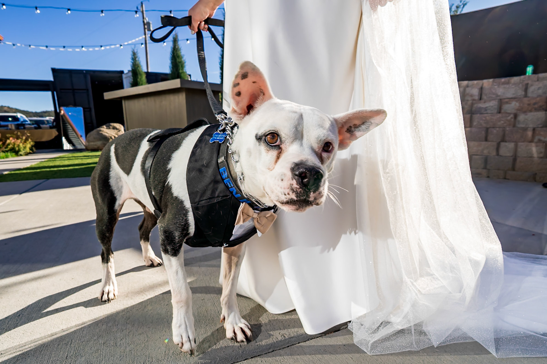 Fun Lesbian Fall Wedding at Marchand Ranch Events and Weddings in Canon City, Colorado