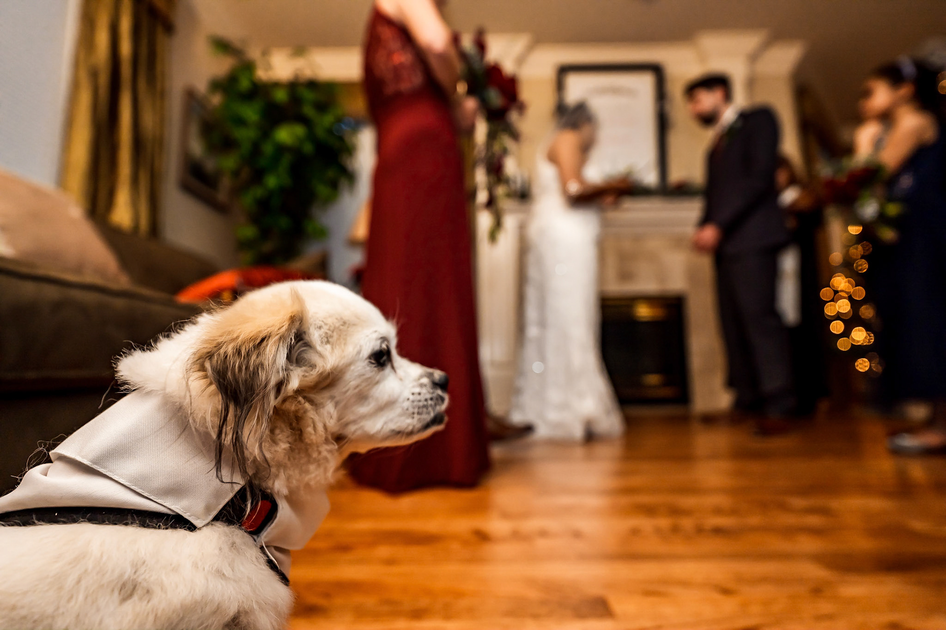 Wedding Photography in Highlands Ranch, CO