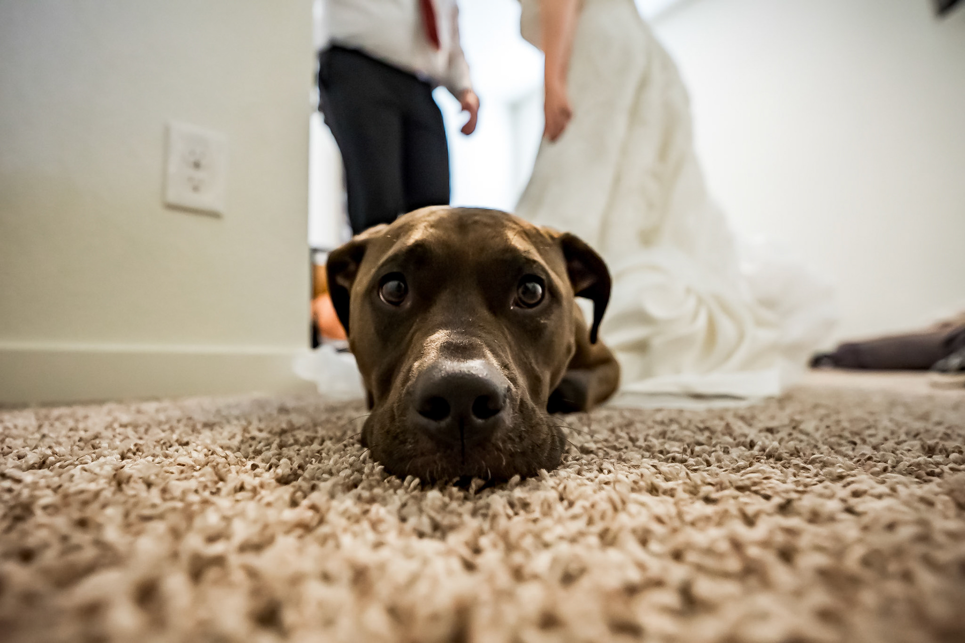 Bold and vibrant elopment photography in Castle Rock, Colorado