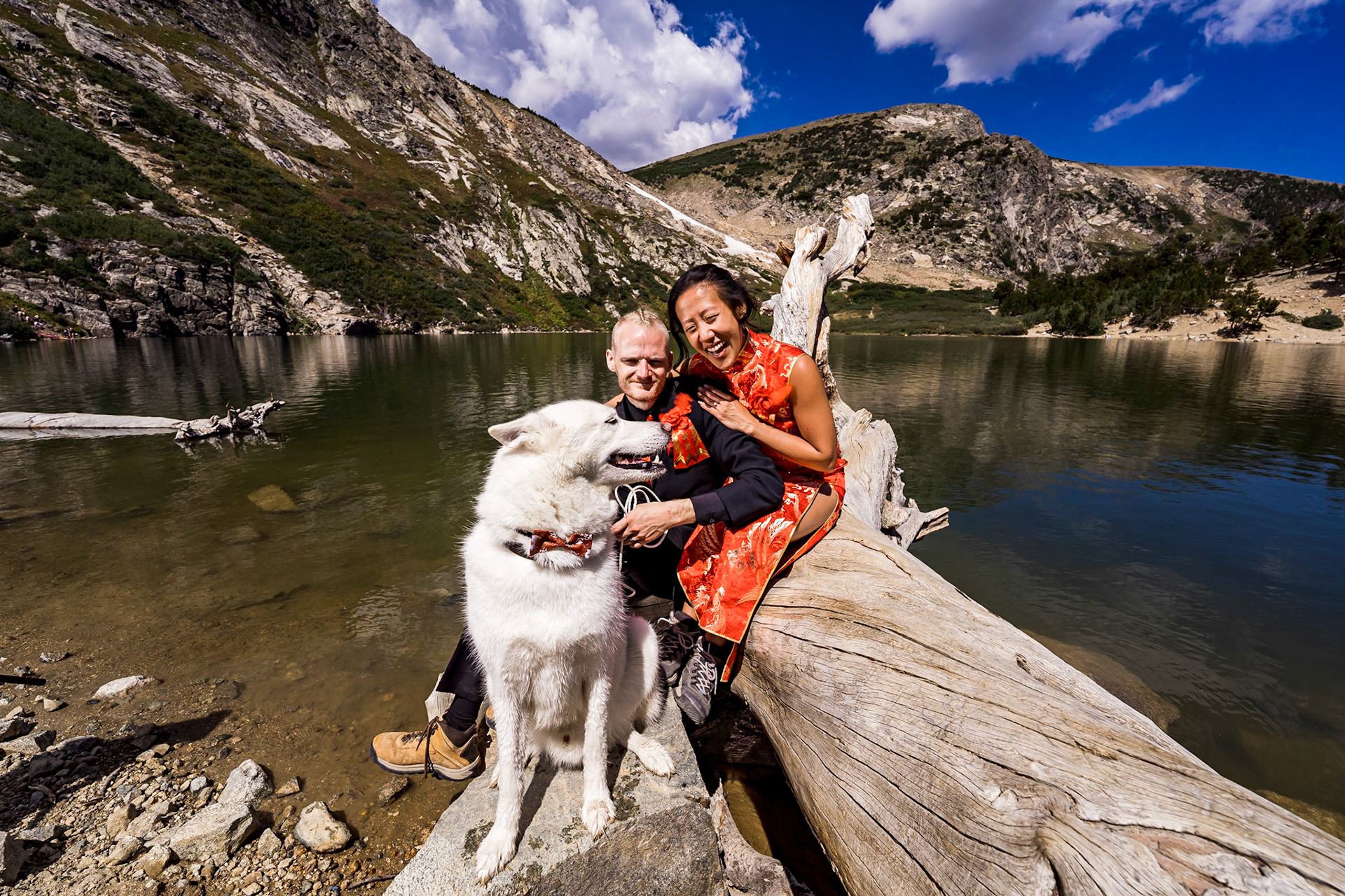 Bold, vibrant, and fun wedding at Sy Mary's Glacier and the Metlo Hotel in Denver, Colorado with a huskey ring bearer