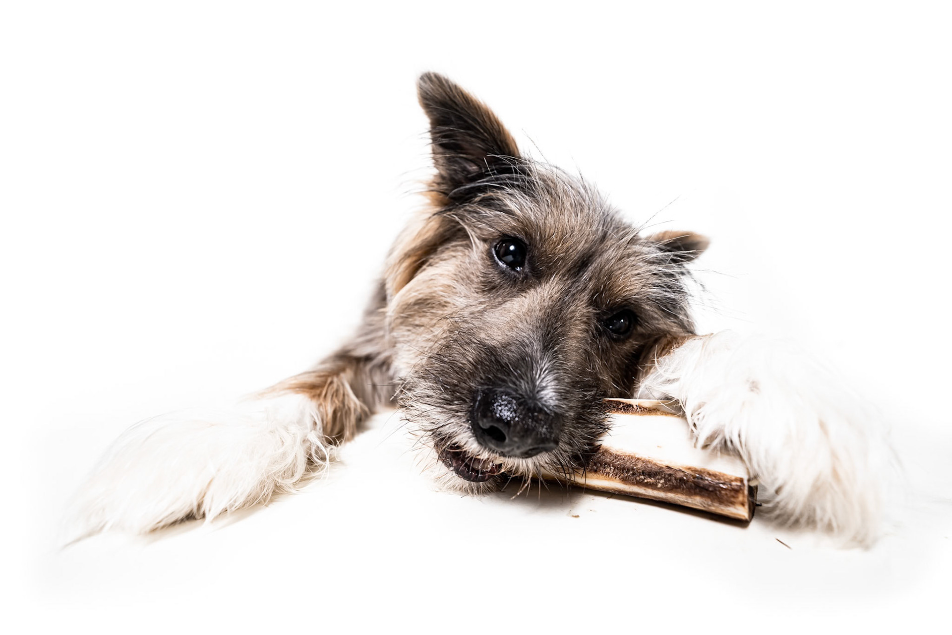 Product Photography for Winnie Lou by Bonnie Photo