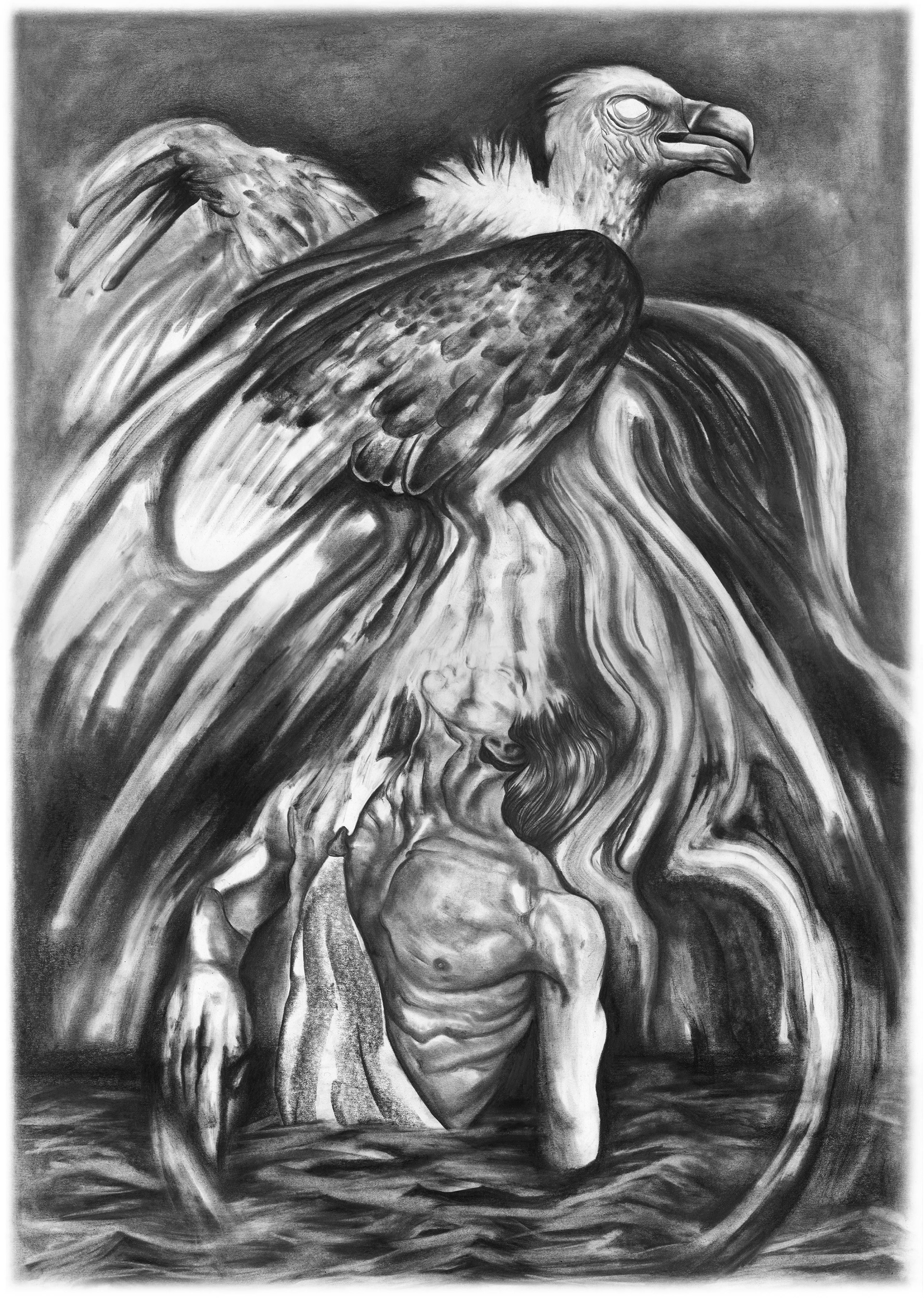 The Vulture