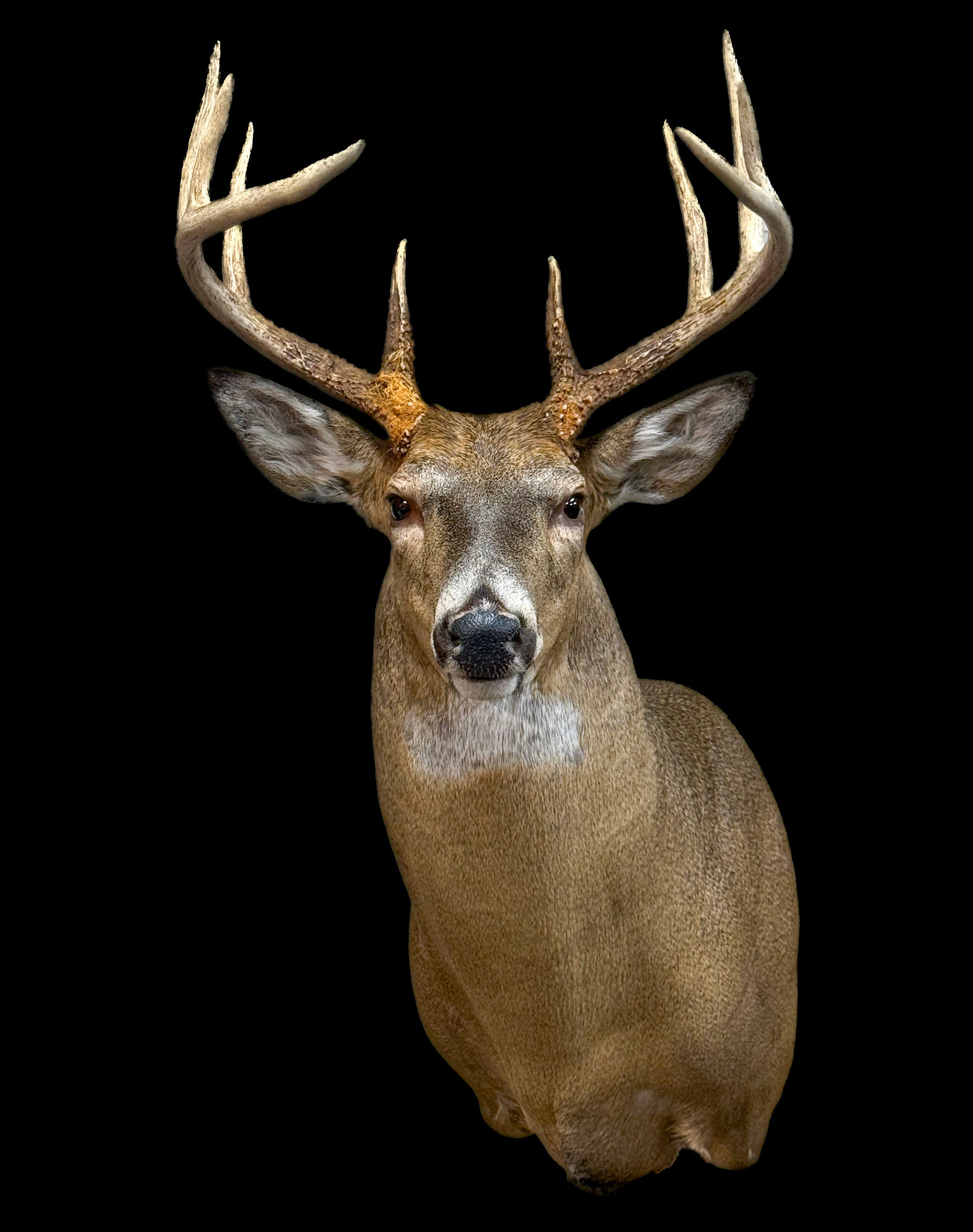 2026 SC
