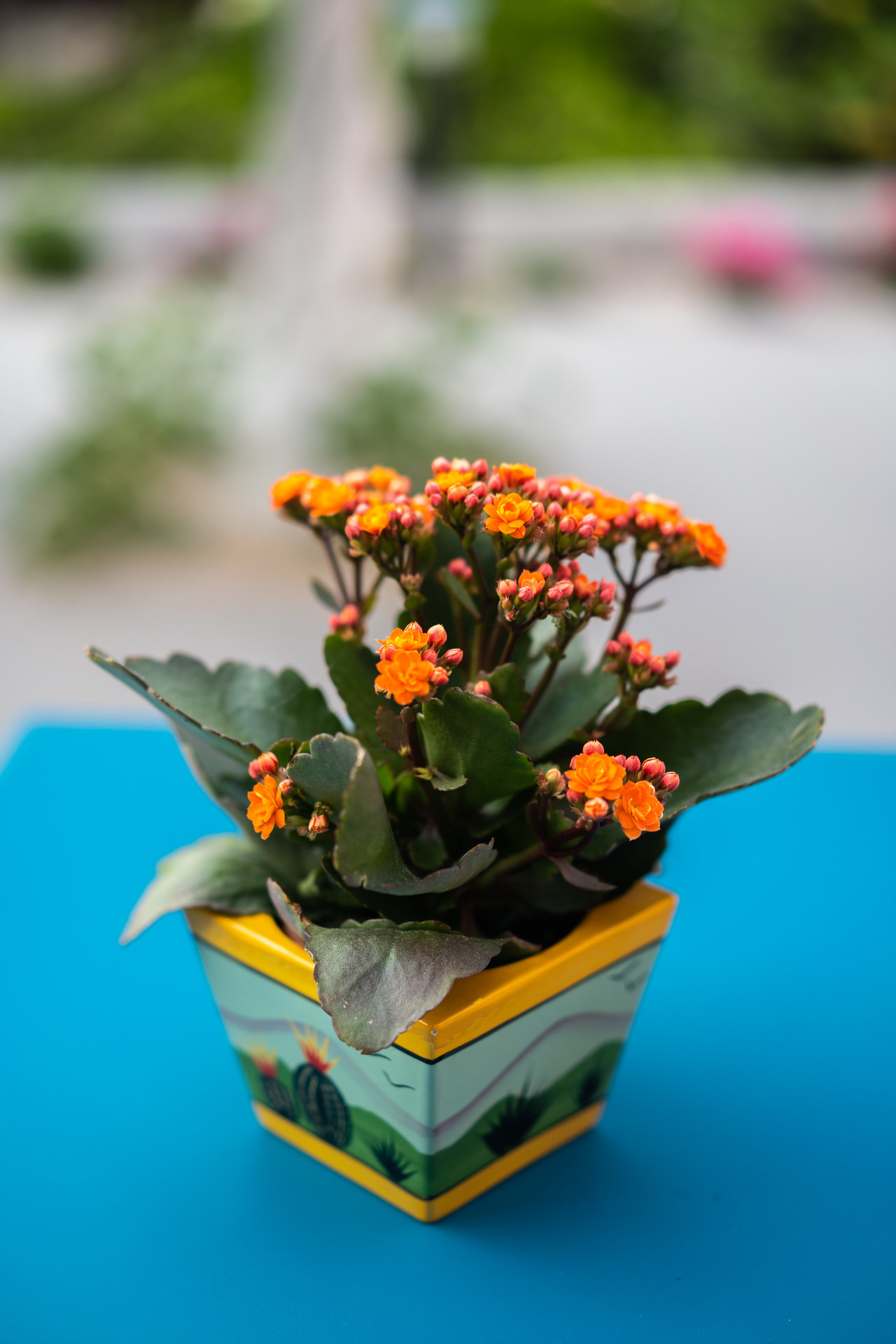 Aethra exterior detail