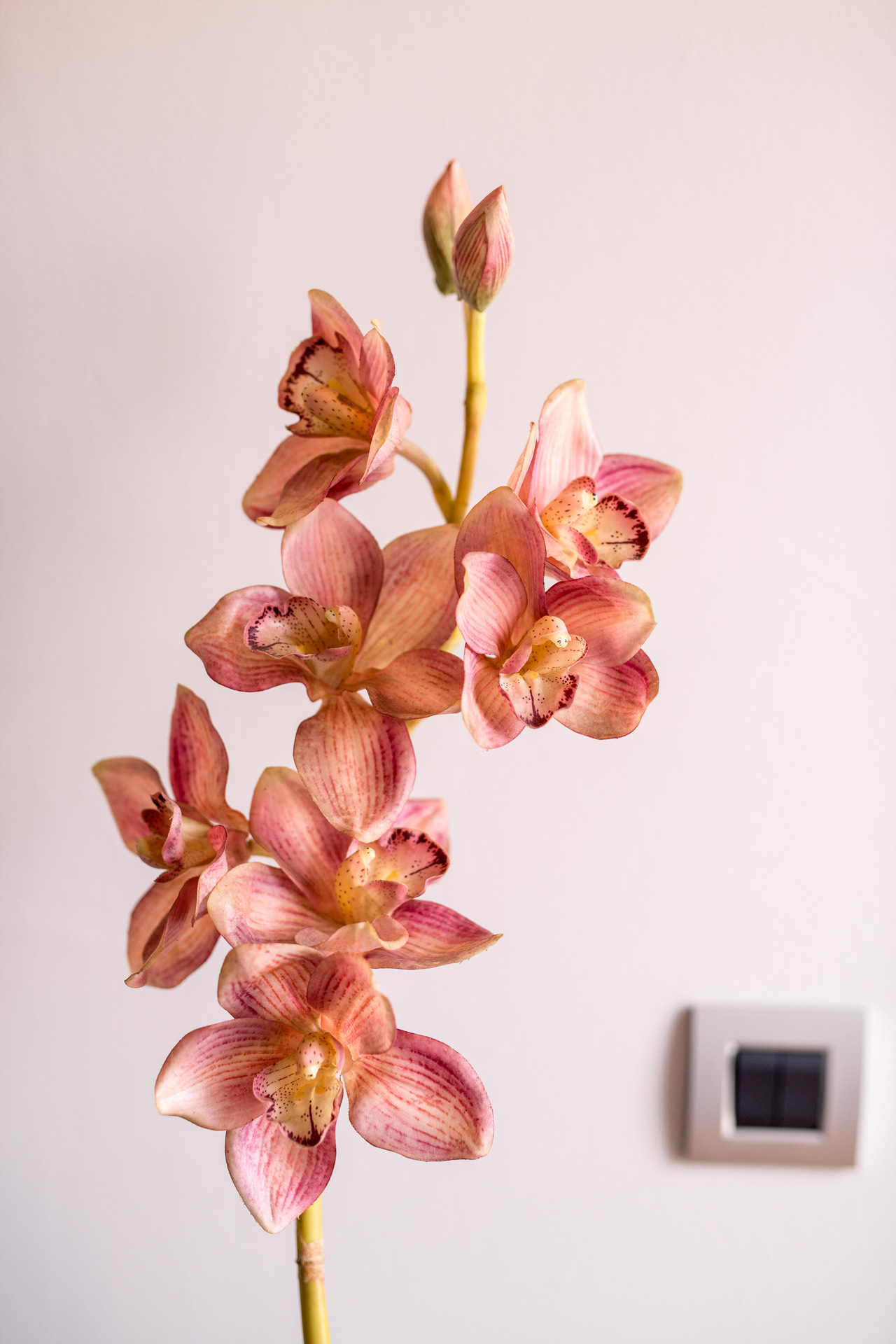 Antonio Gambello Rooms