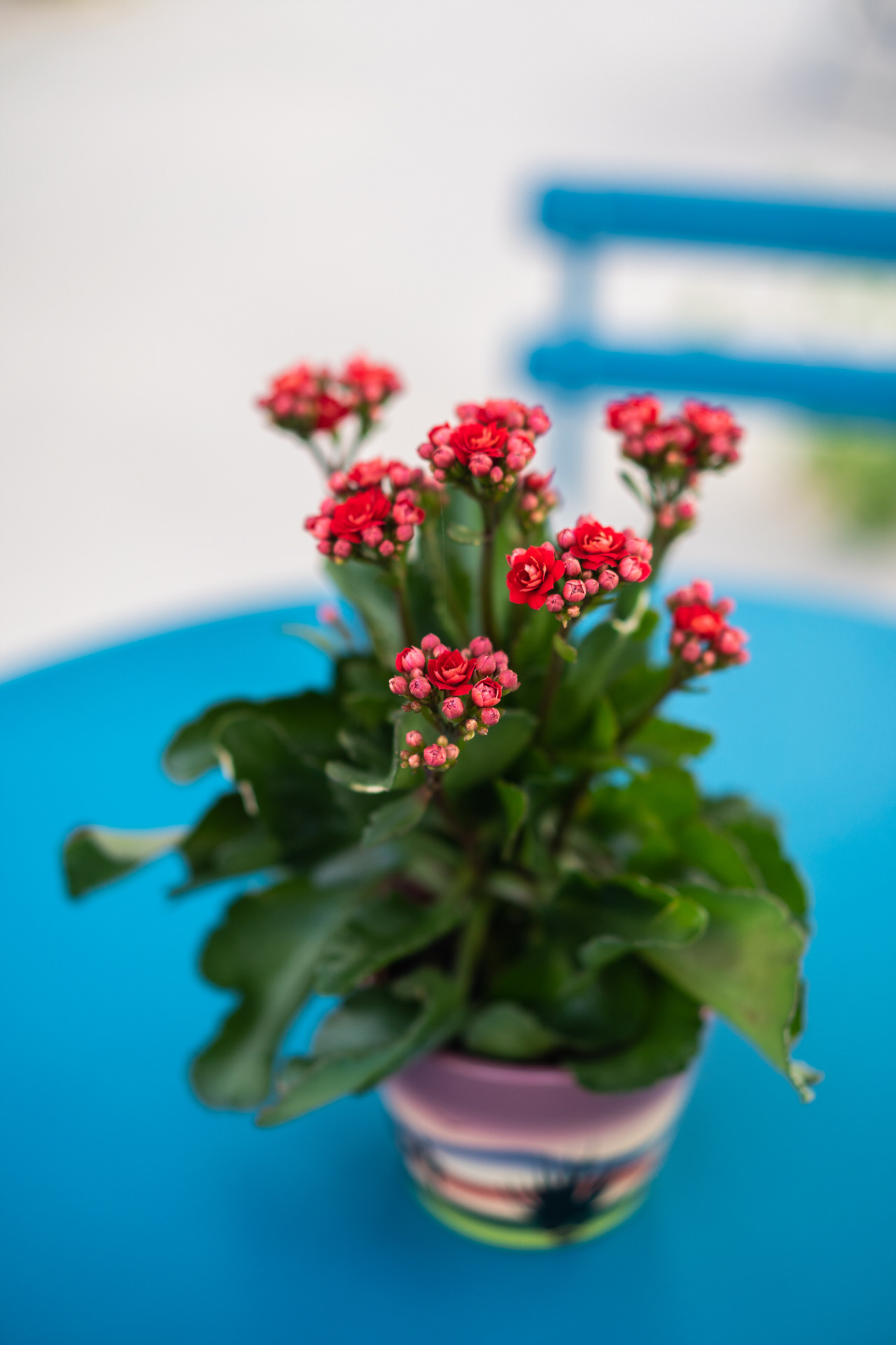 Aethra exterior detail