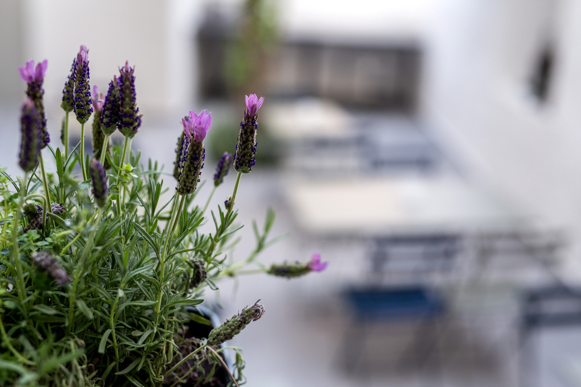 Antonio Gambello Breakfast Area