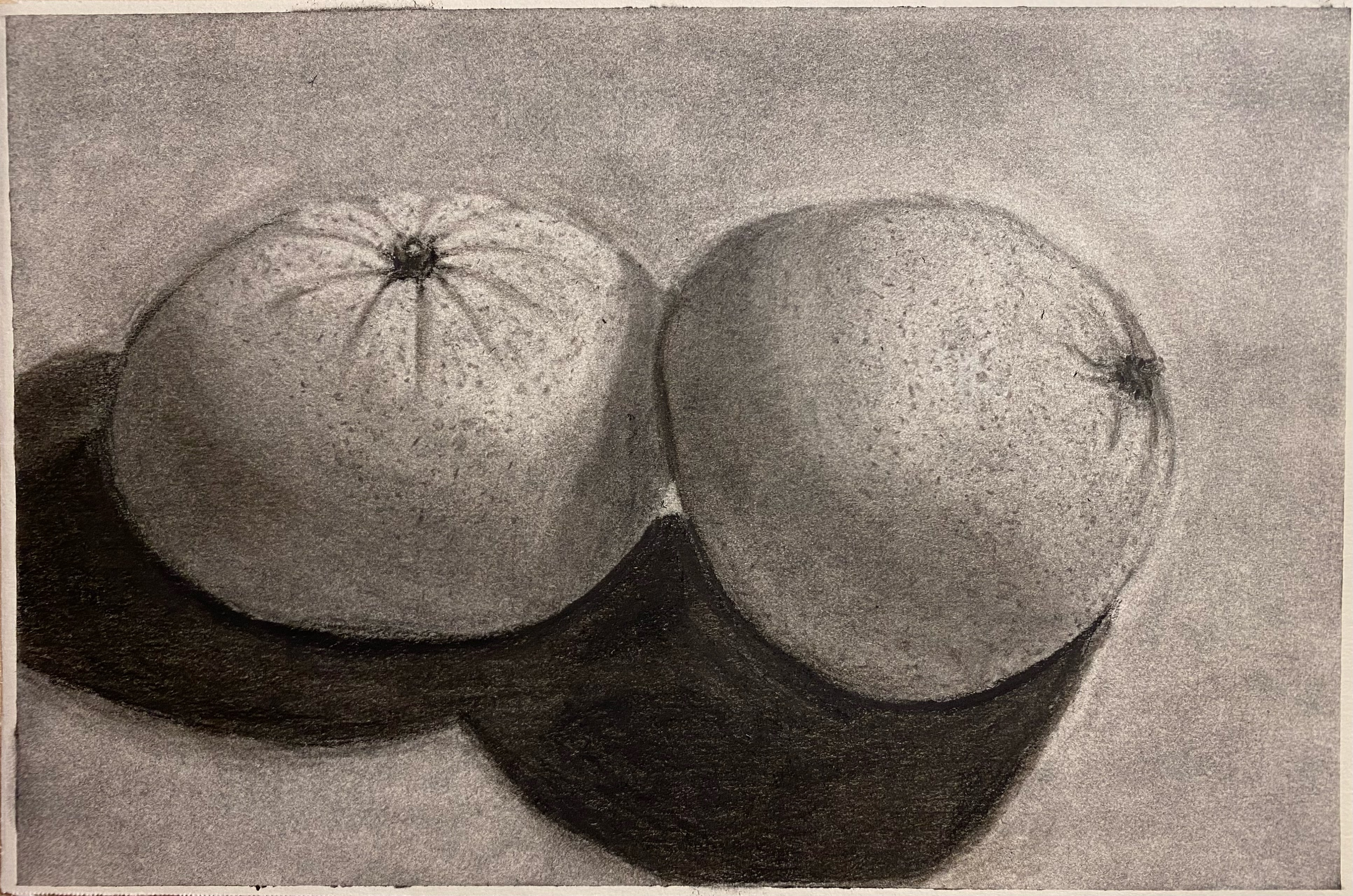 Mandarins, 2024, charcoal on paper, 9 x 6 in