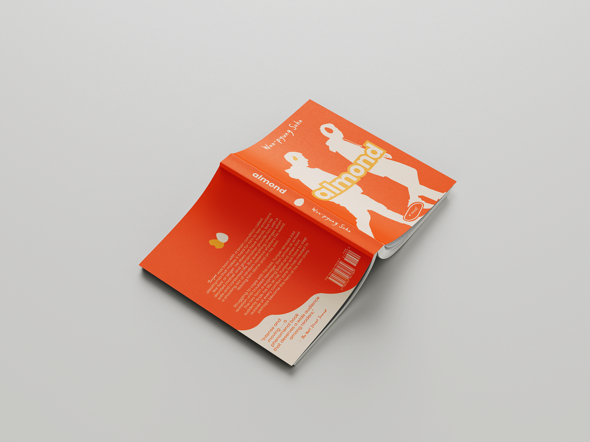 Almond, 2023, book design, 18 x 11 in