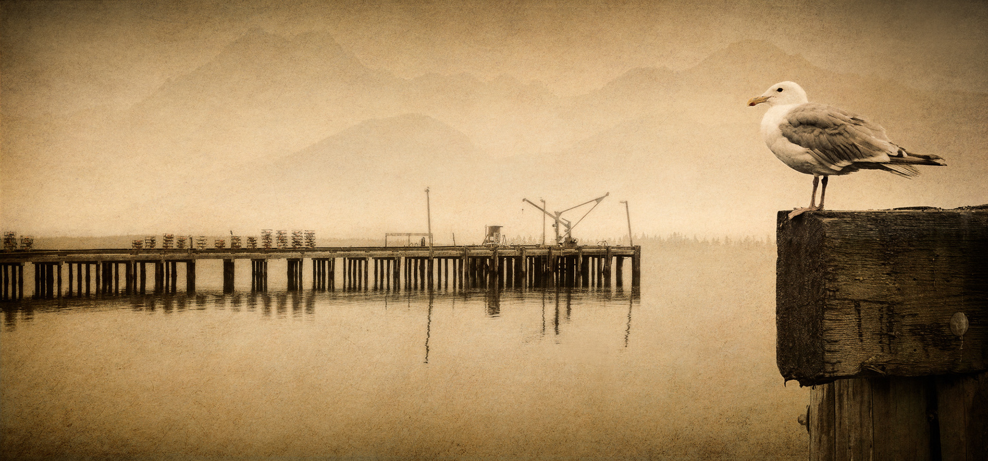 By the Dock of the Bay