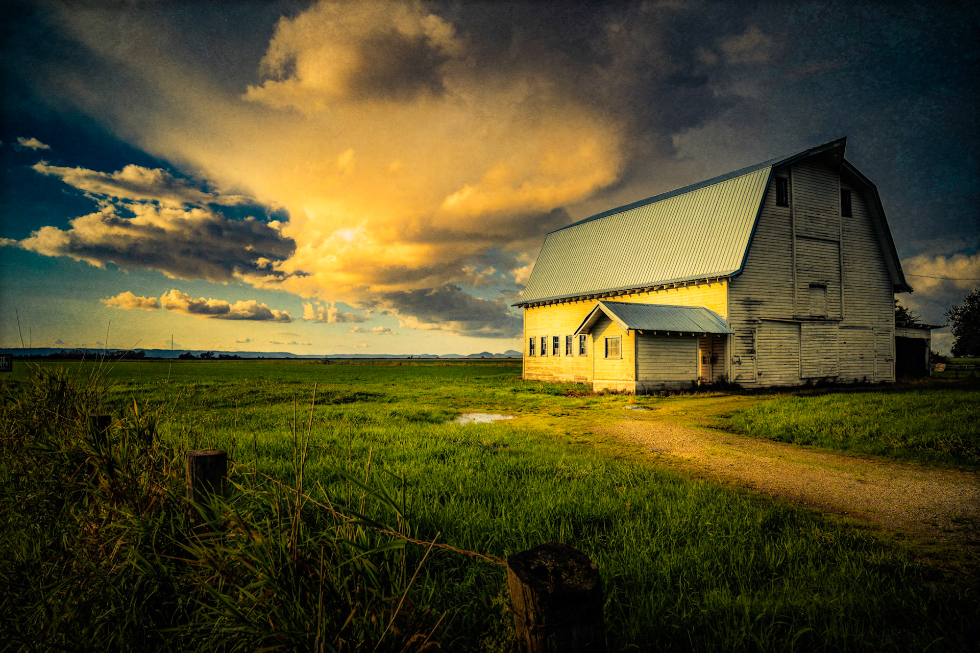 The Soft Light of the Day's Ending