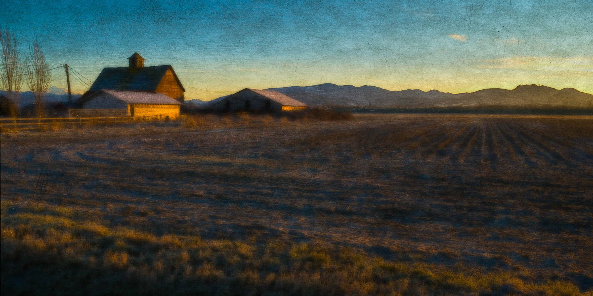 Skagit Farm