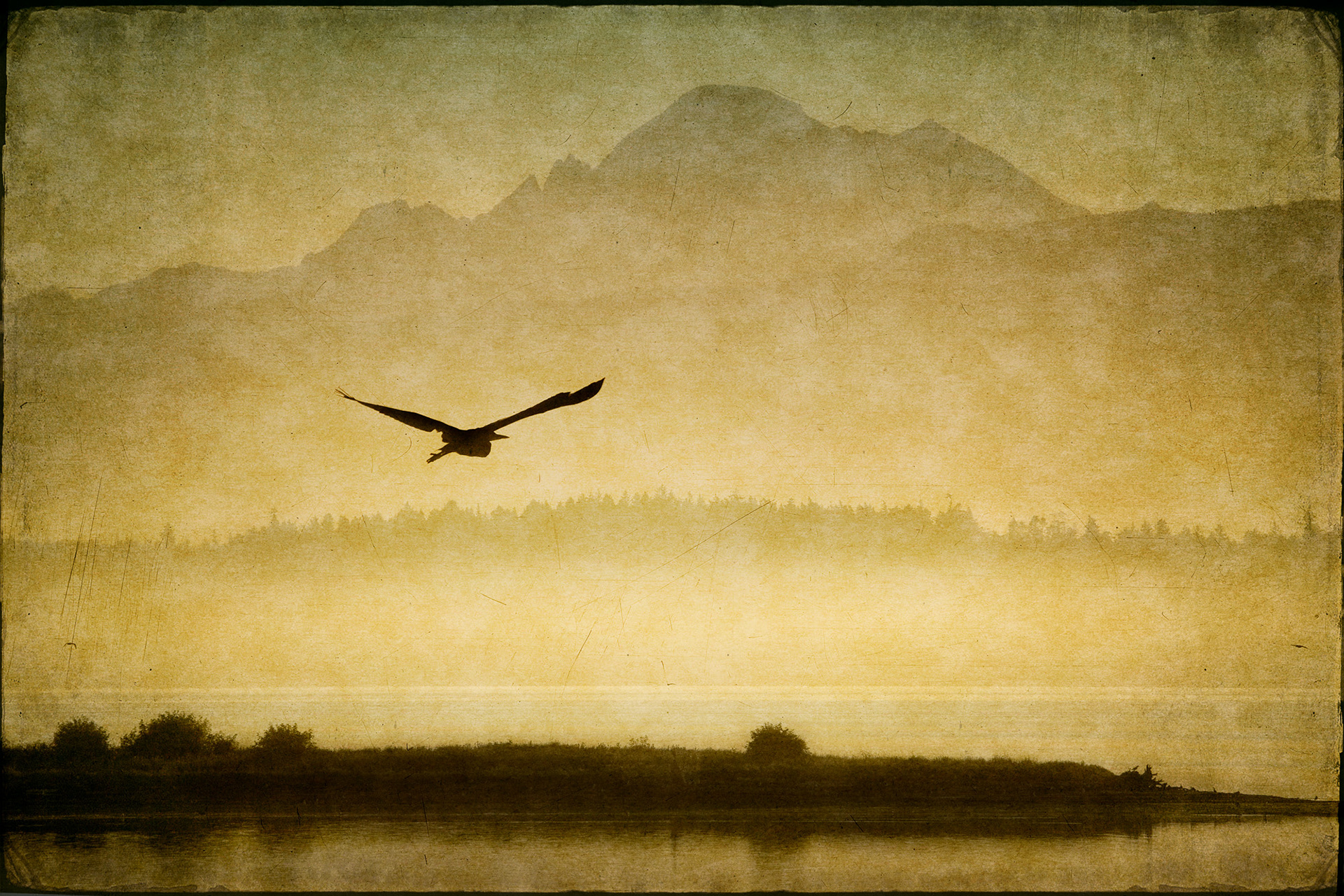 Early Morning Flight