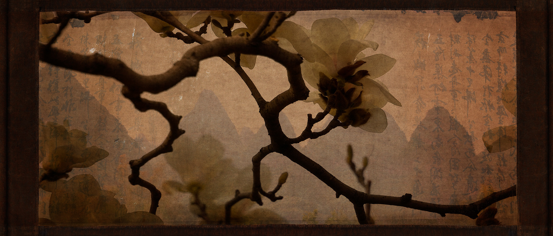 China Magnolia